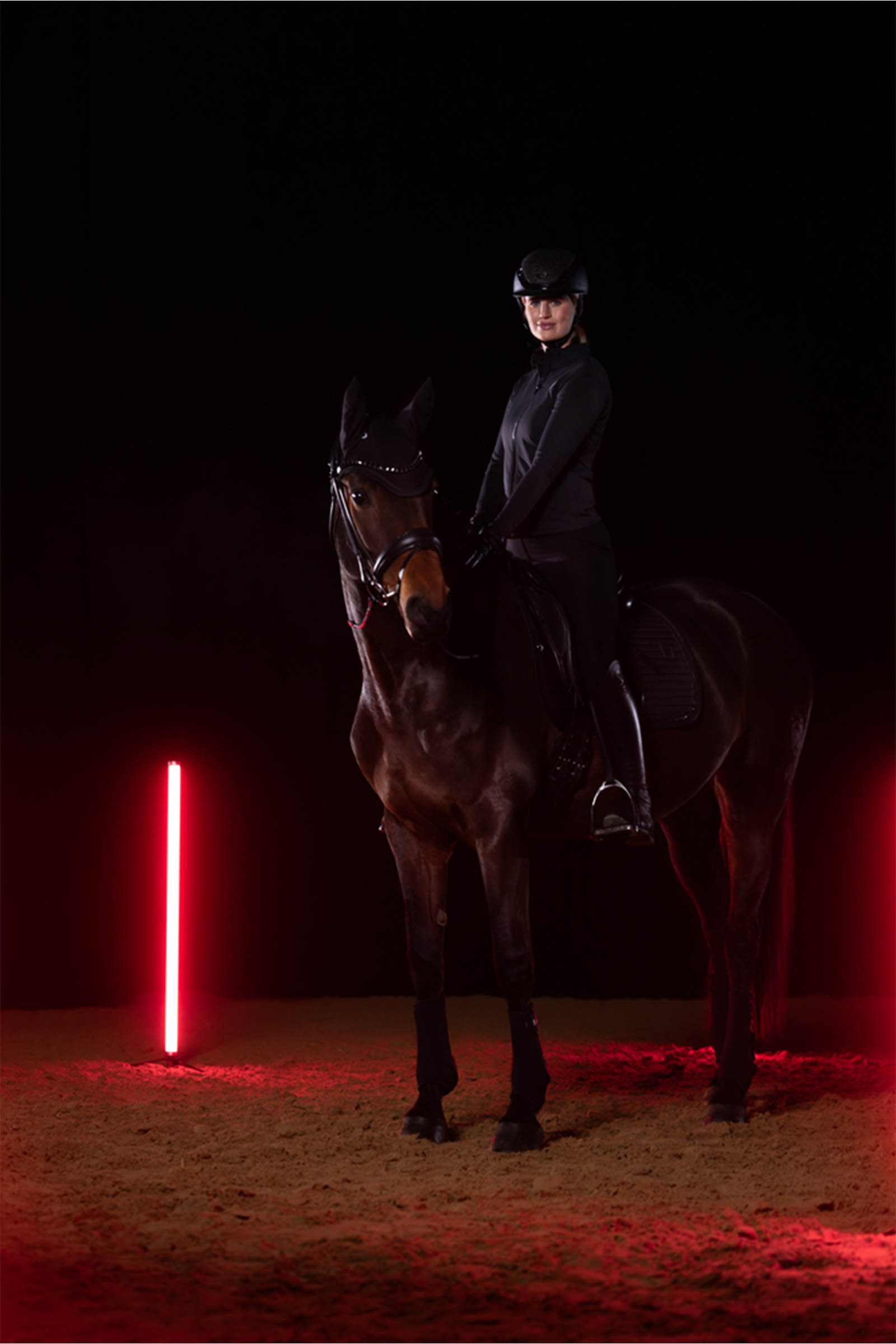 Eskadron Dynamics AW25 orejeras caballos Dynair Mesh Sport