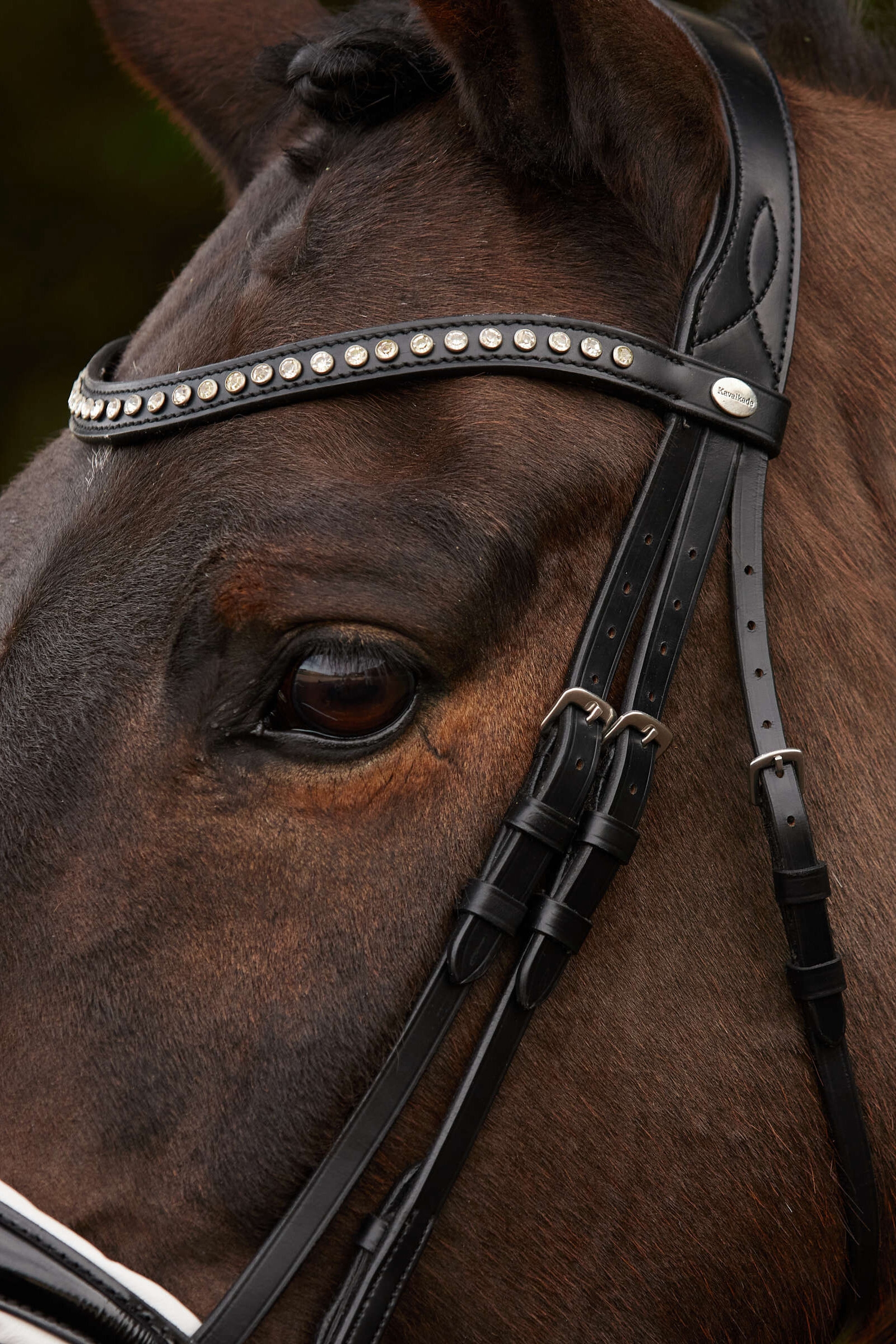 Kavalkade Charlotte Dressage Bridle Crank Noseband