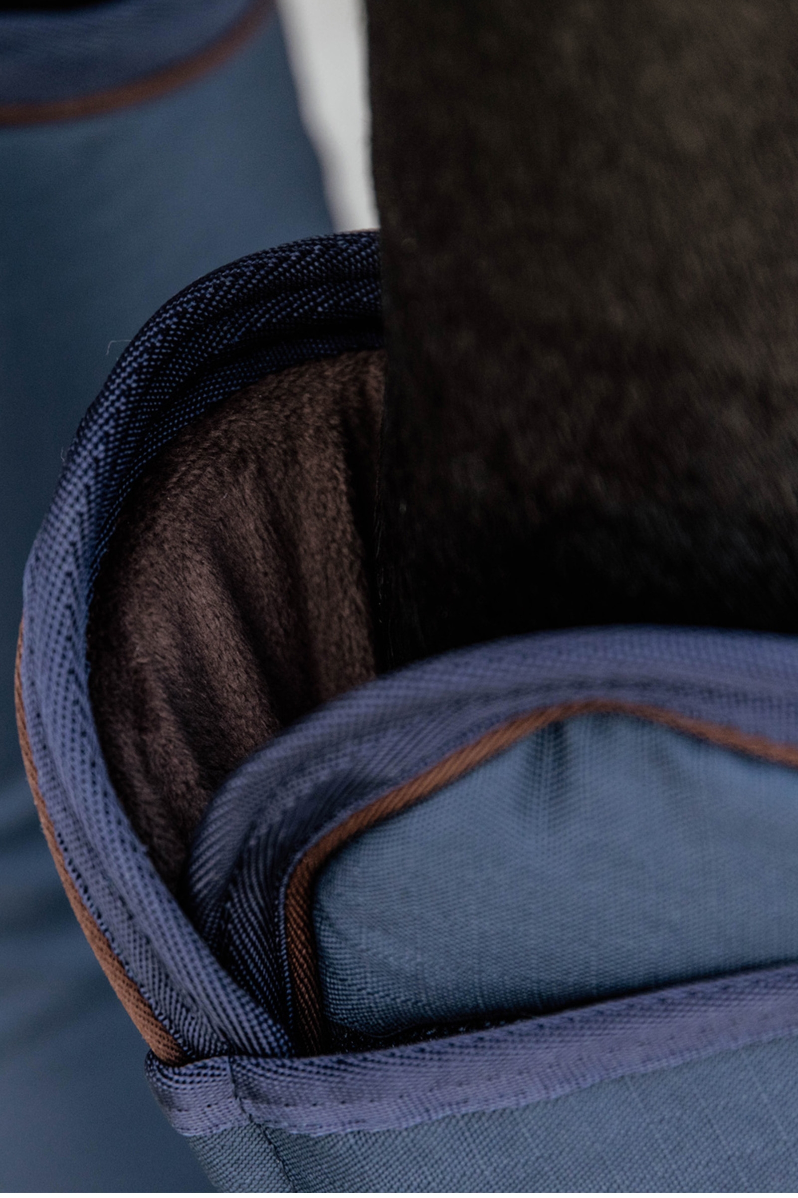 Protectores de Transporte Kentucky Horsewear