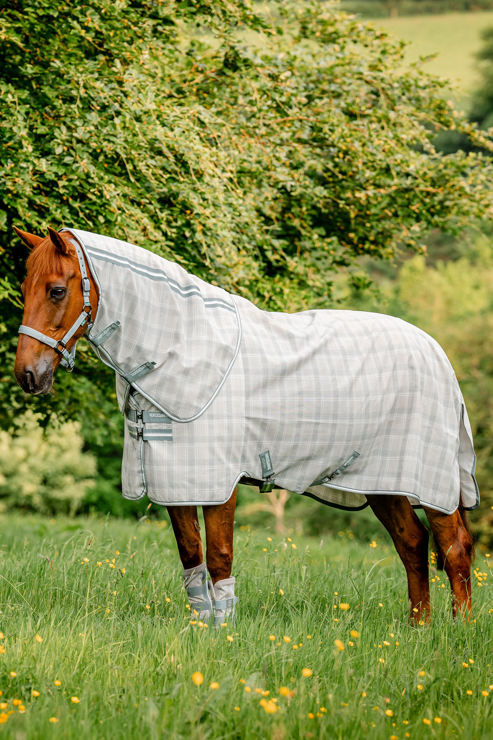 Witney Charcoal Horseware Newmarket Plus Manta Anti-moscas