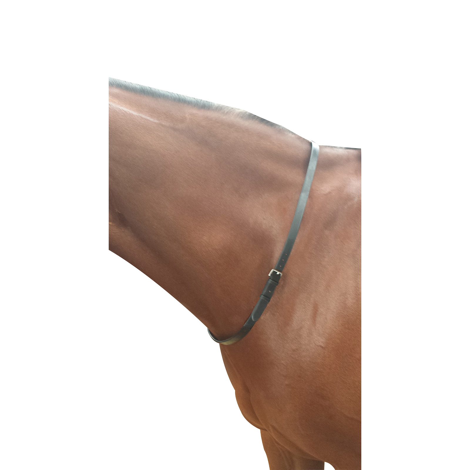 Kincade Neck Strap