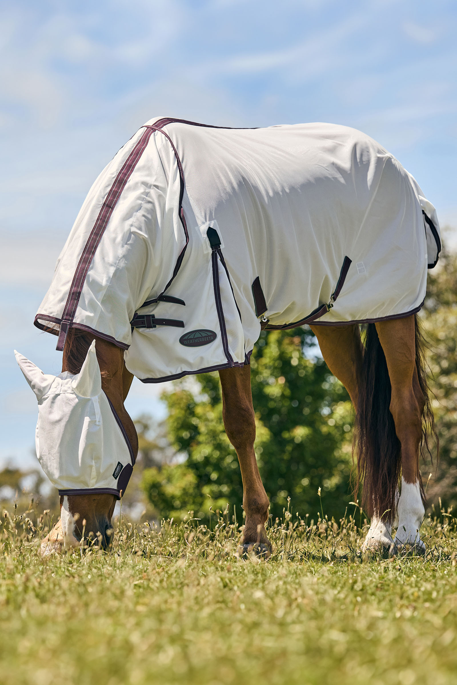 Weatherbeeta Comfitec Essential m&aacute;scara de malla