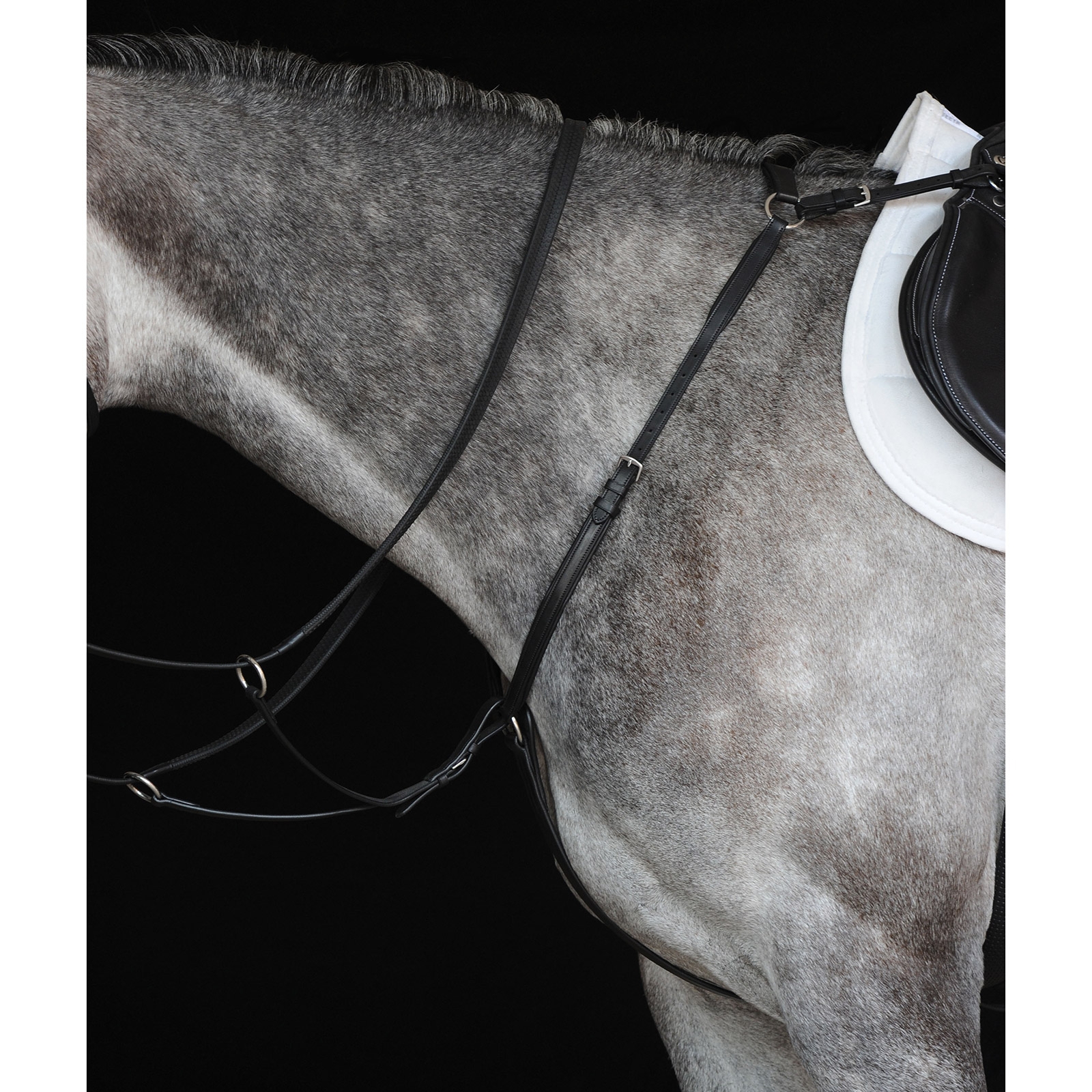 Collegiate Hunter Breast Plate IV