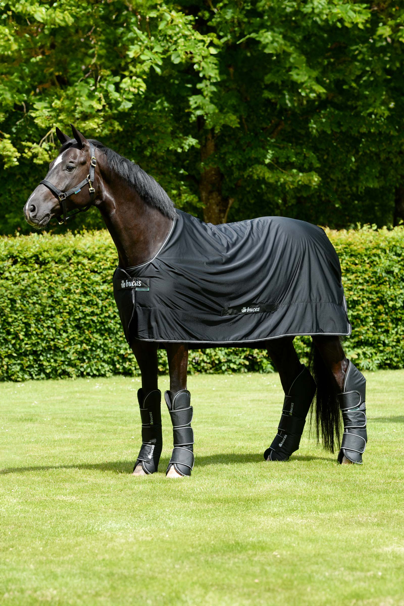 Bucas Freedom protectores de transporte