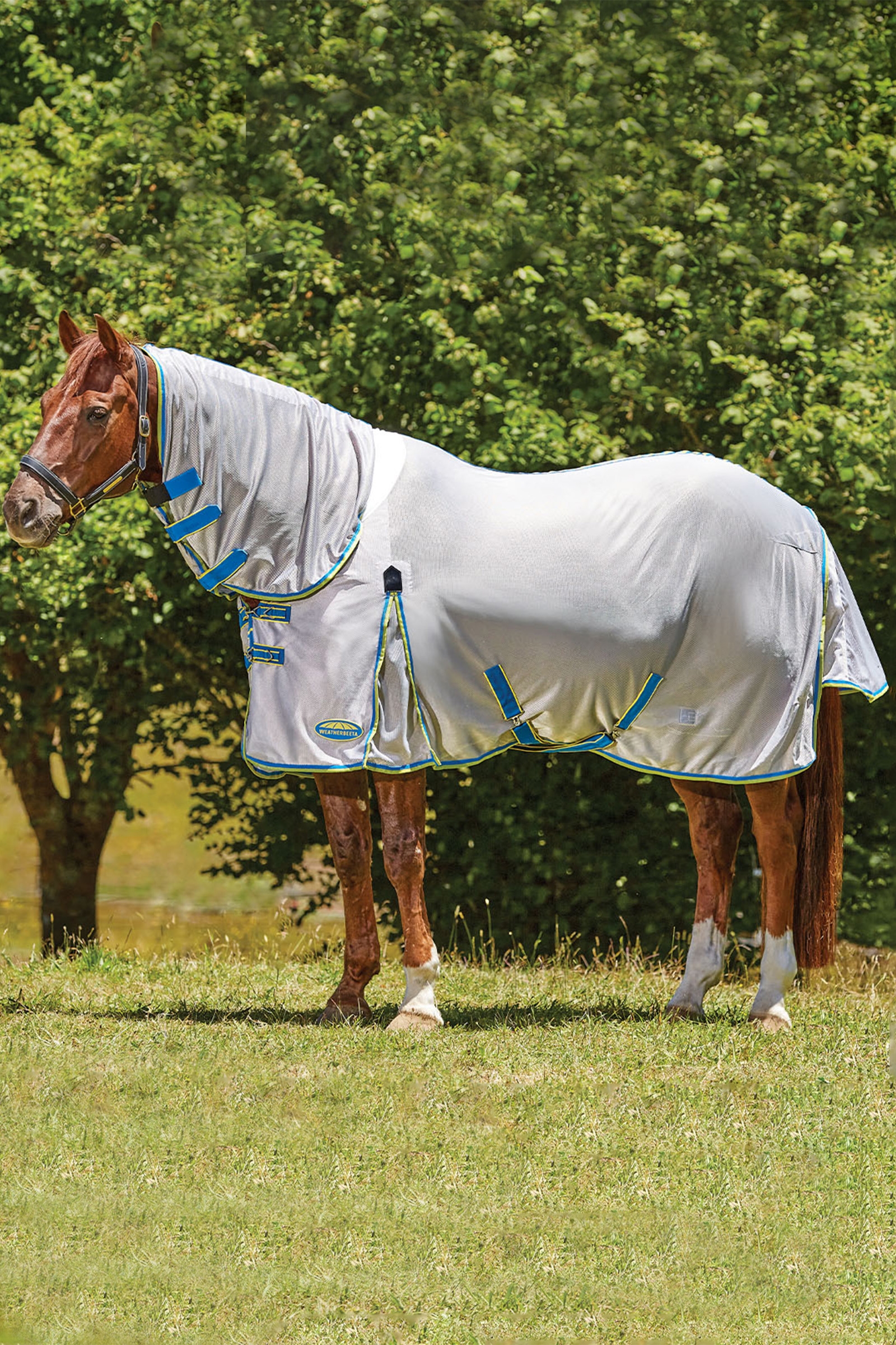 Manta de vuelo Weatherbeeta Comfitec Zephyr Plus Mesh Combo