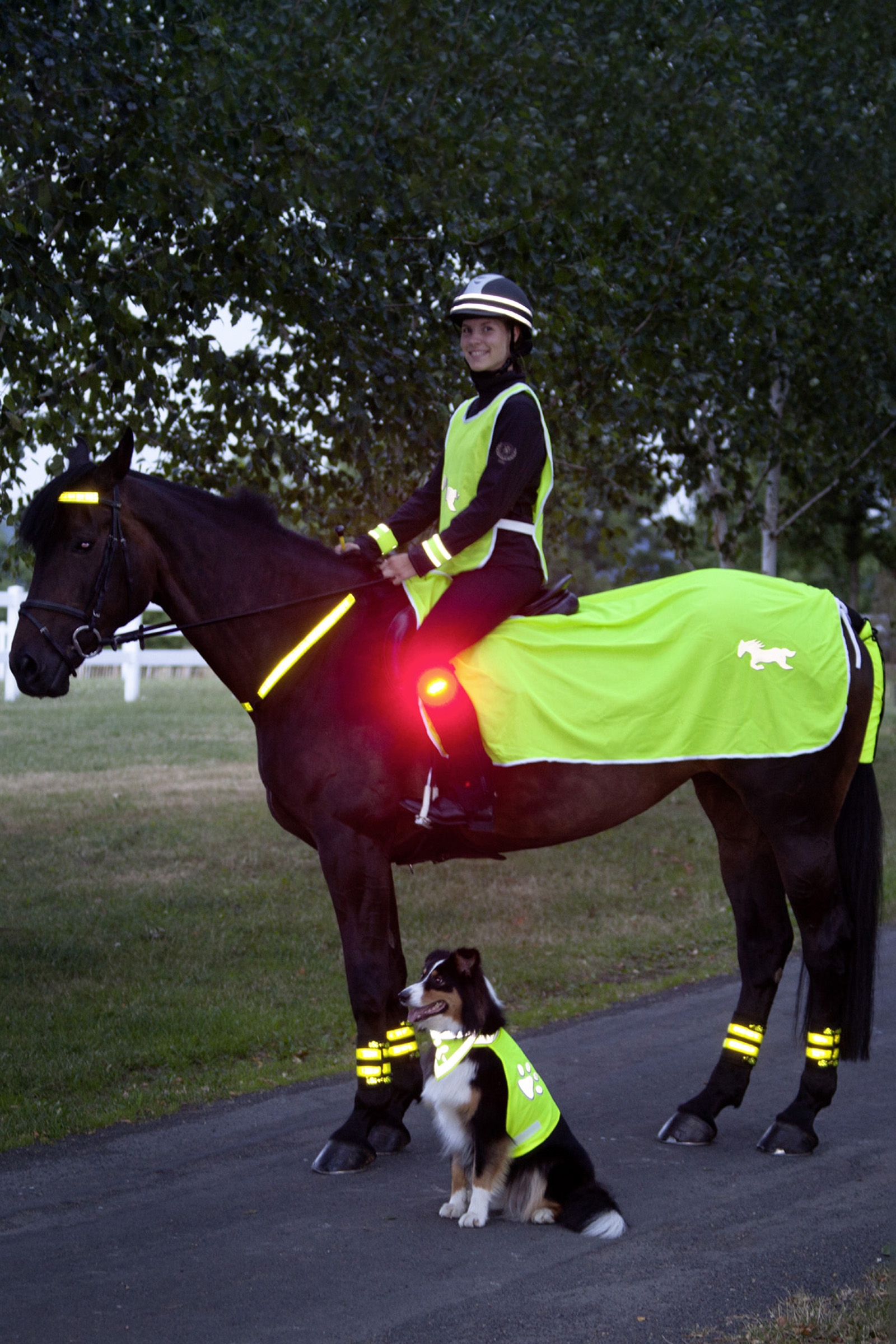 Manta Reflectante USG