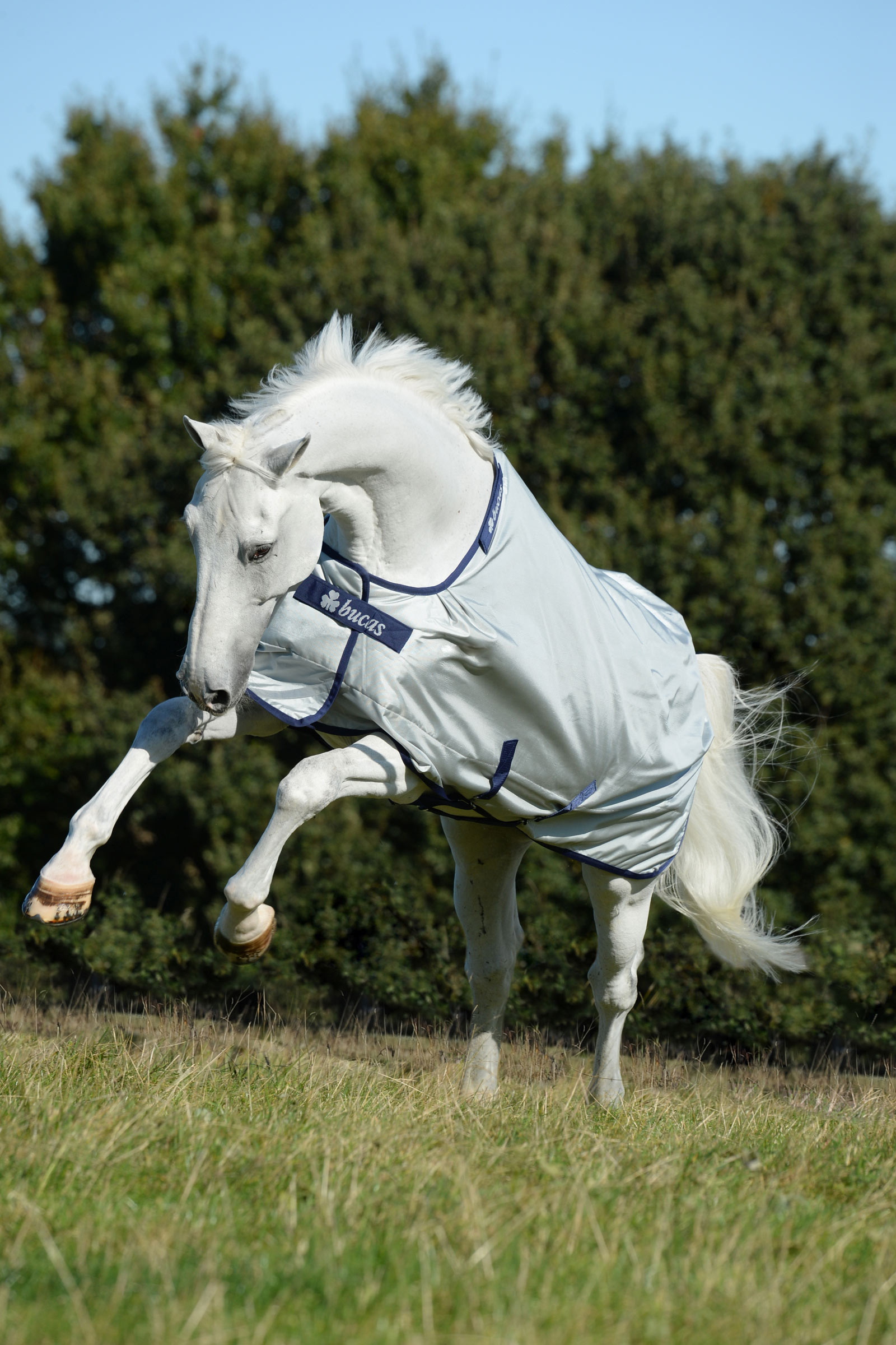 Bucas Power manta de exterior con cuello ancho, 0g