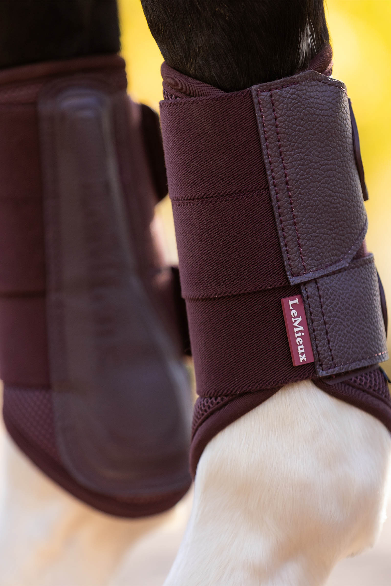 LeMieux Arika Mesh protectores doma