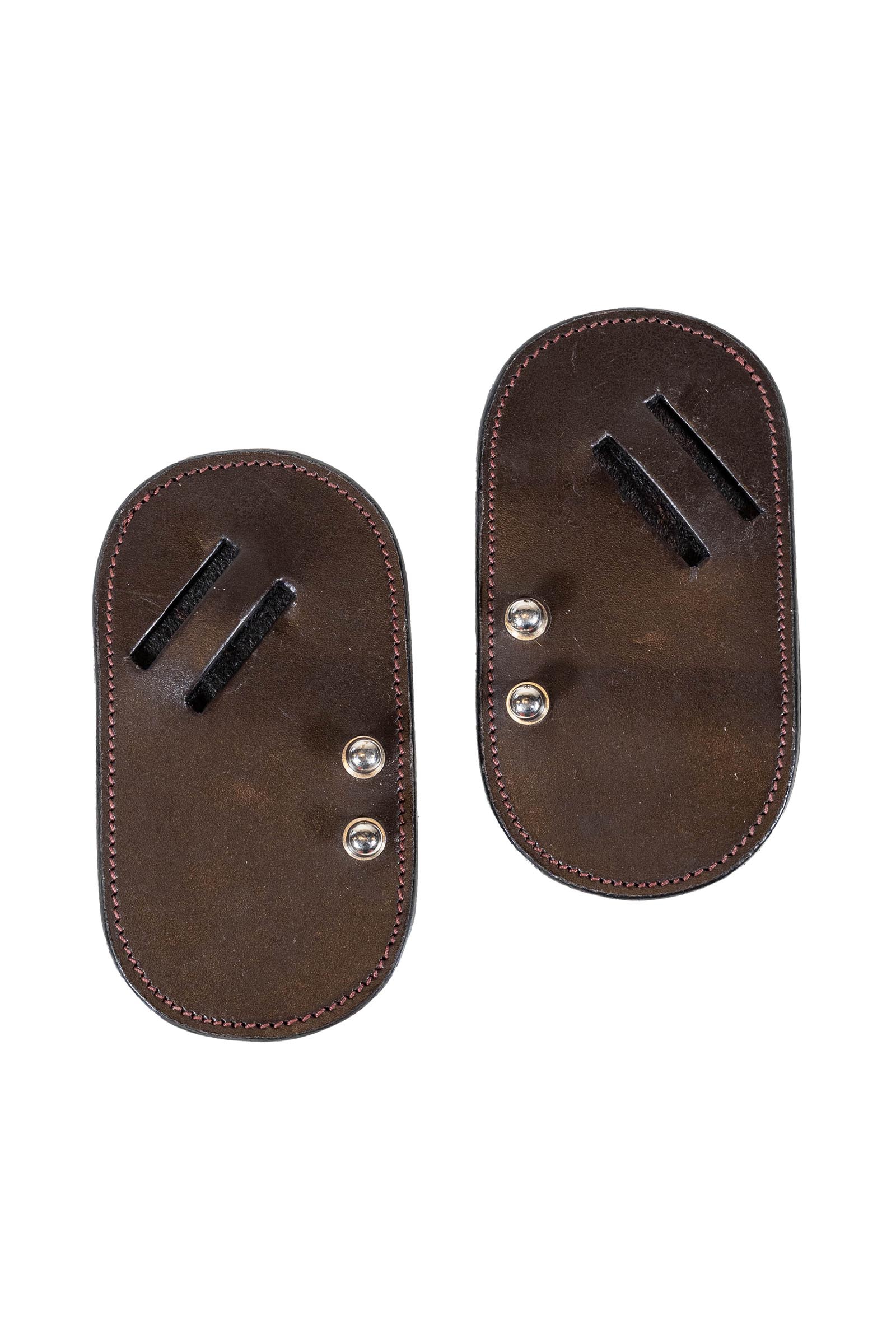 Dy'on protector hackamore  