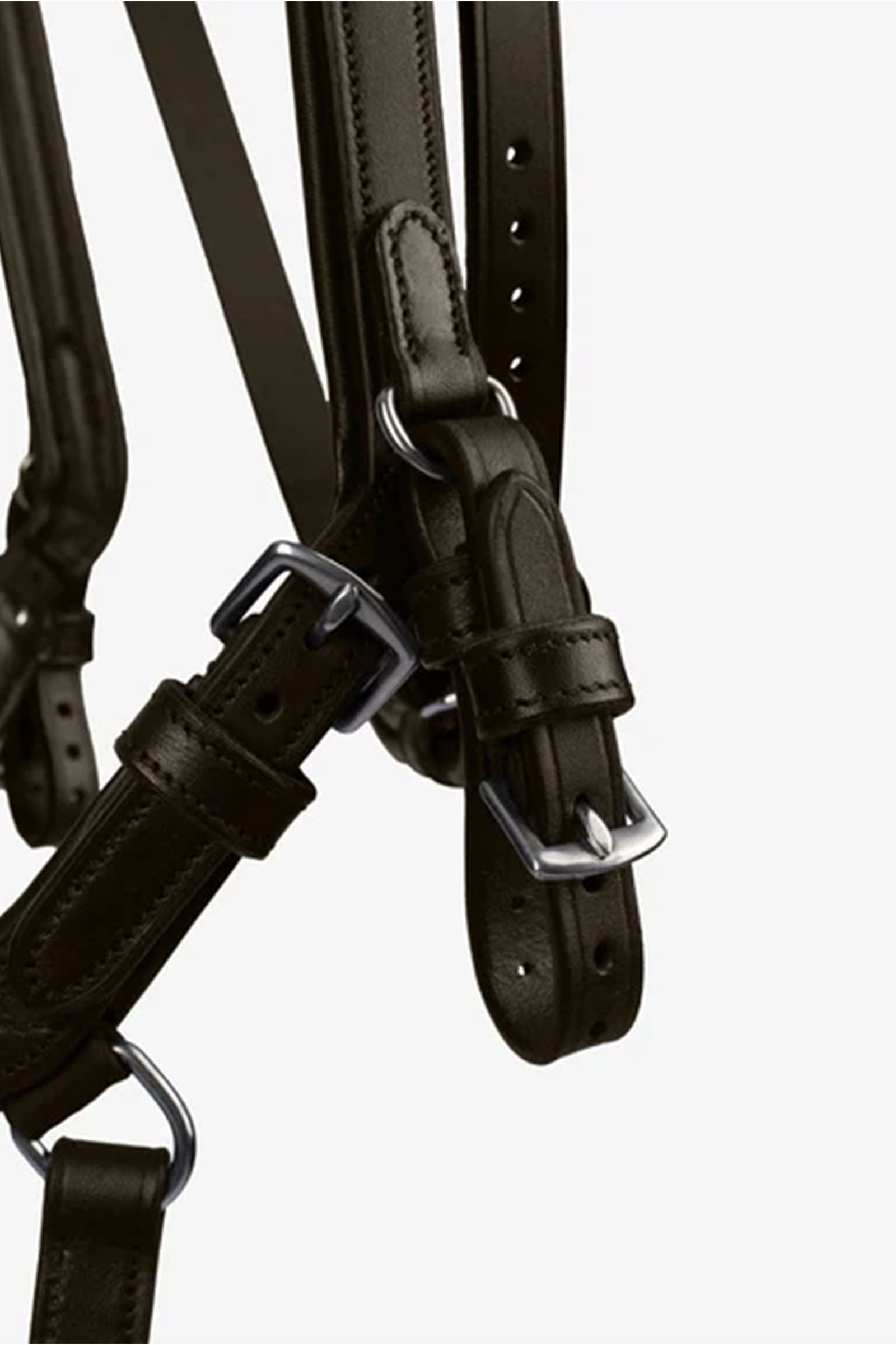 PS of Sweden Cabezada King Edward