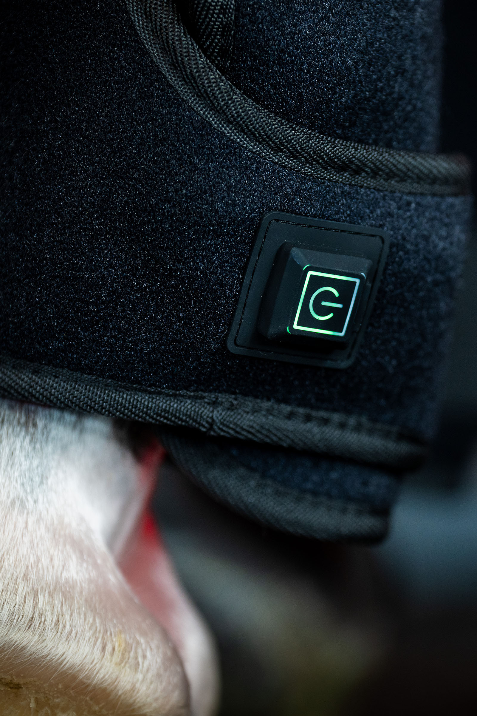 Horseware protector terapéutico LED de luz roja (1 ud.)