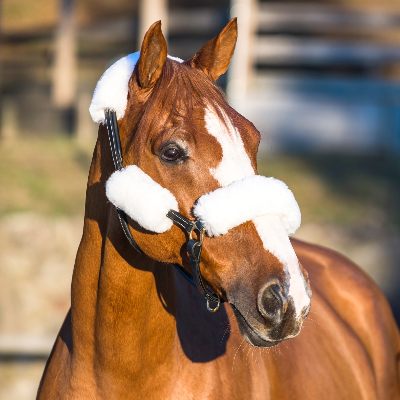 Fundas de Piel de Cordero para Cabezada de Cuadra Horze