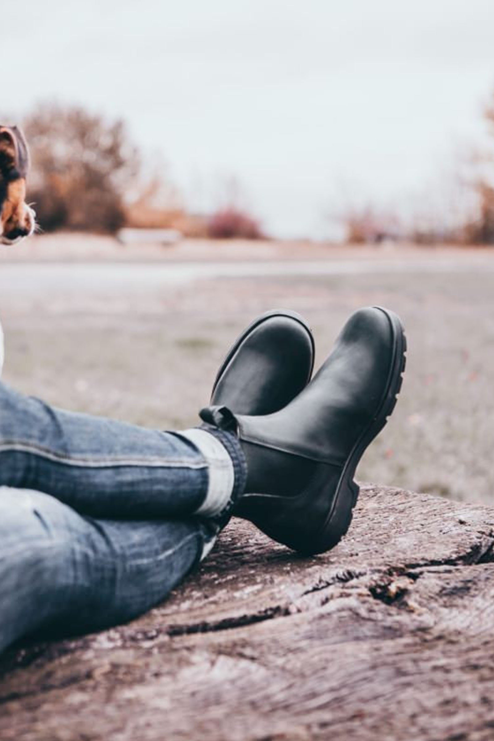 Suedwind Footwear 1888 Botas Chelsea Jodhpur