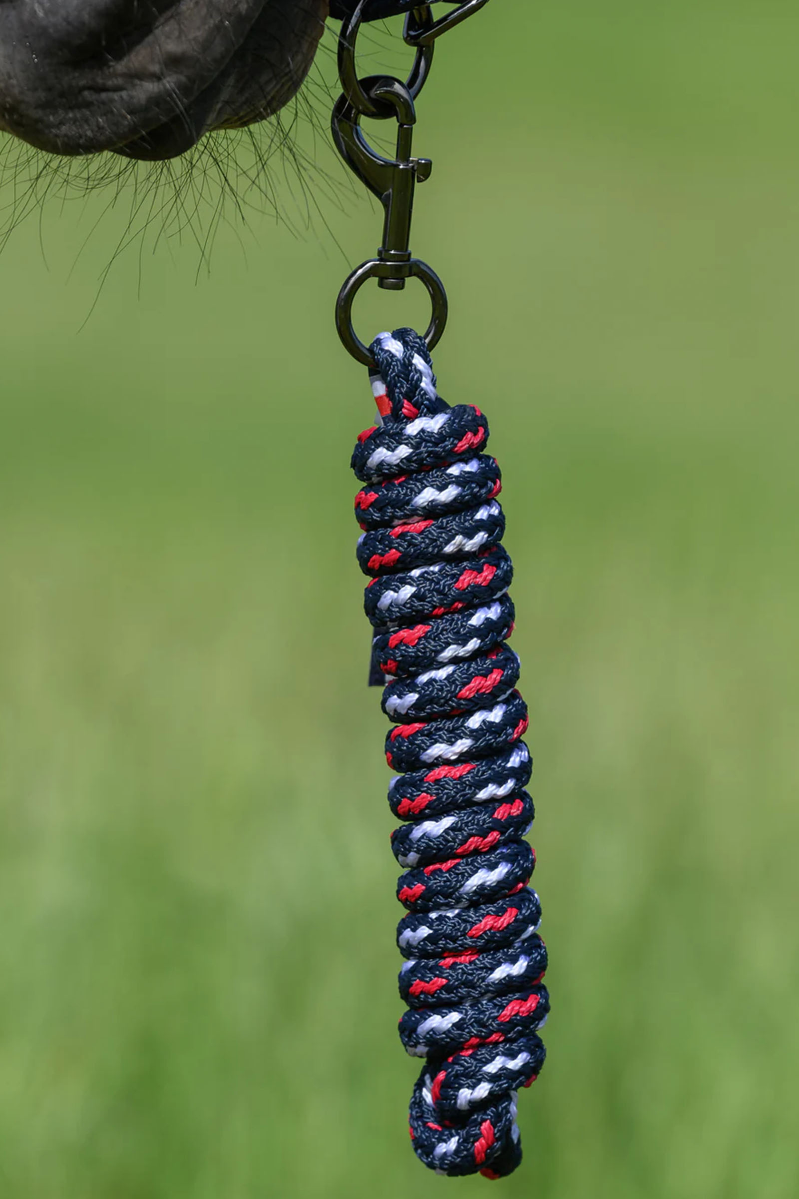 Tommy Hilfiger Equestrian Yale set de cabezada y ramal