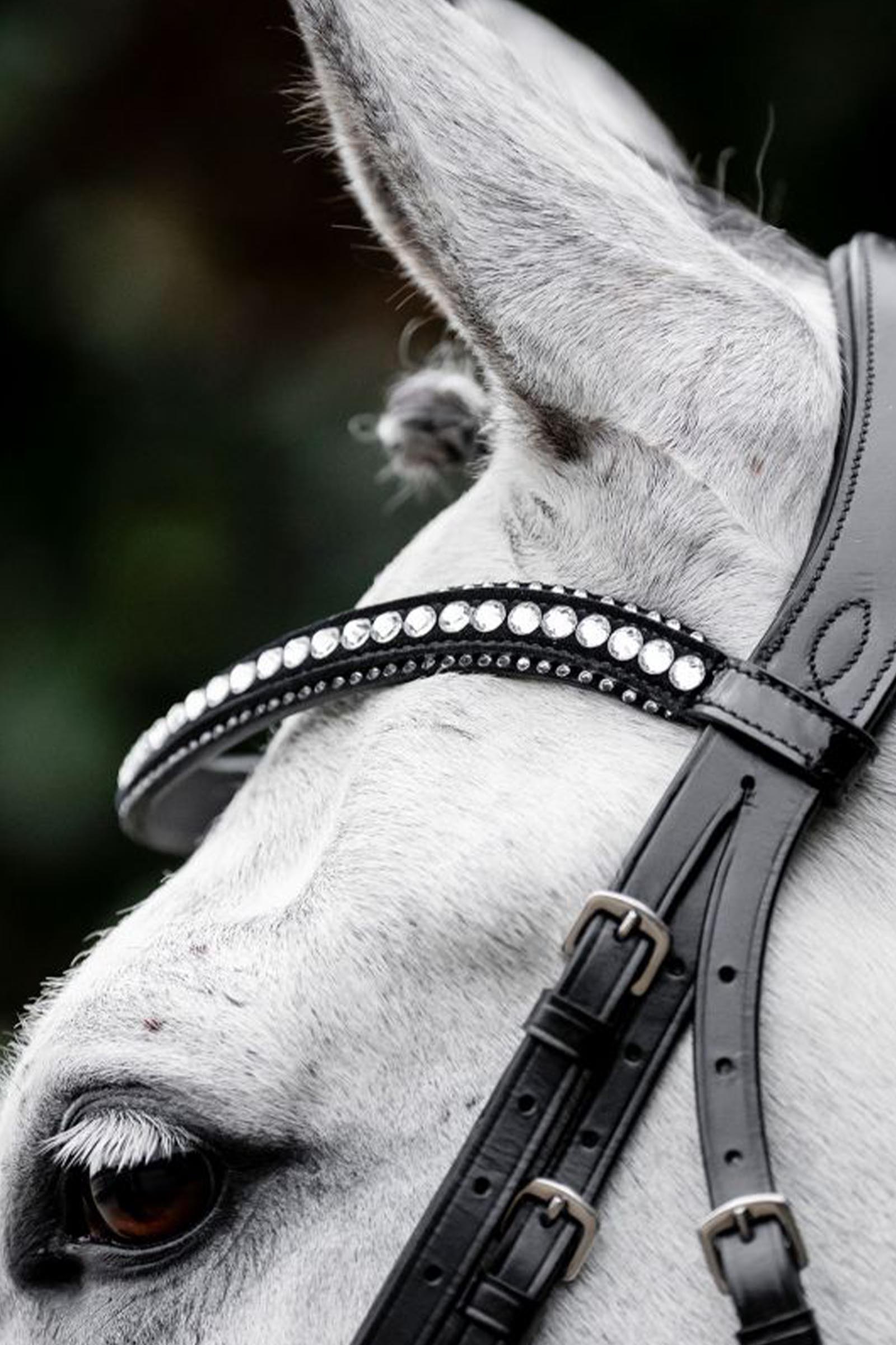 Horseware Diamante brida con muserola combinada
