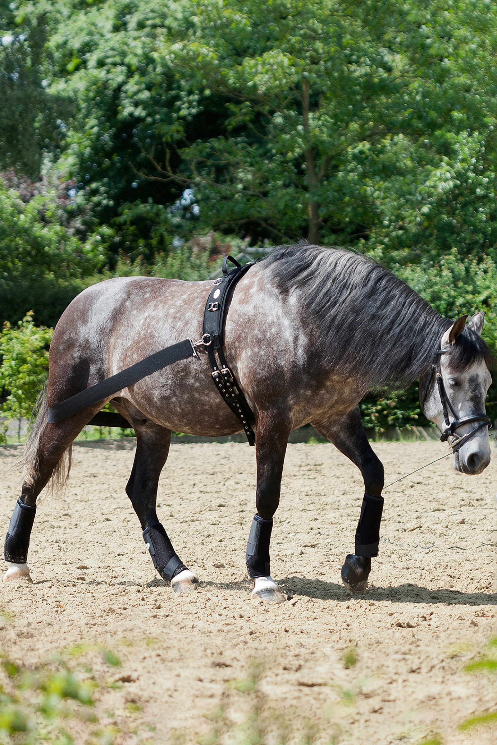 Sistema de Entrenamiento USG CoraLe