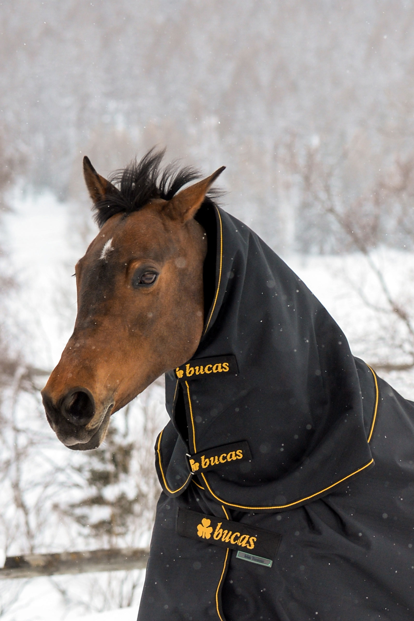 Bucas Irish Turnout cubre cuello, 300g