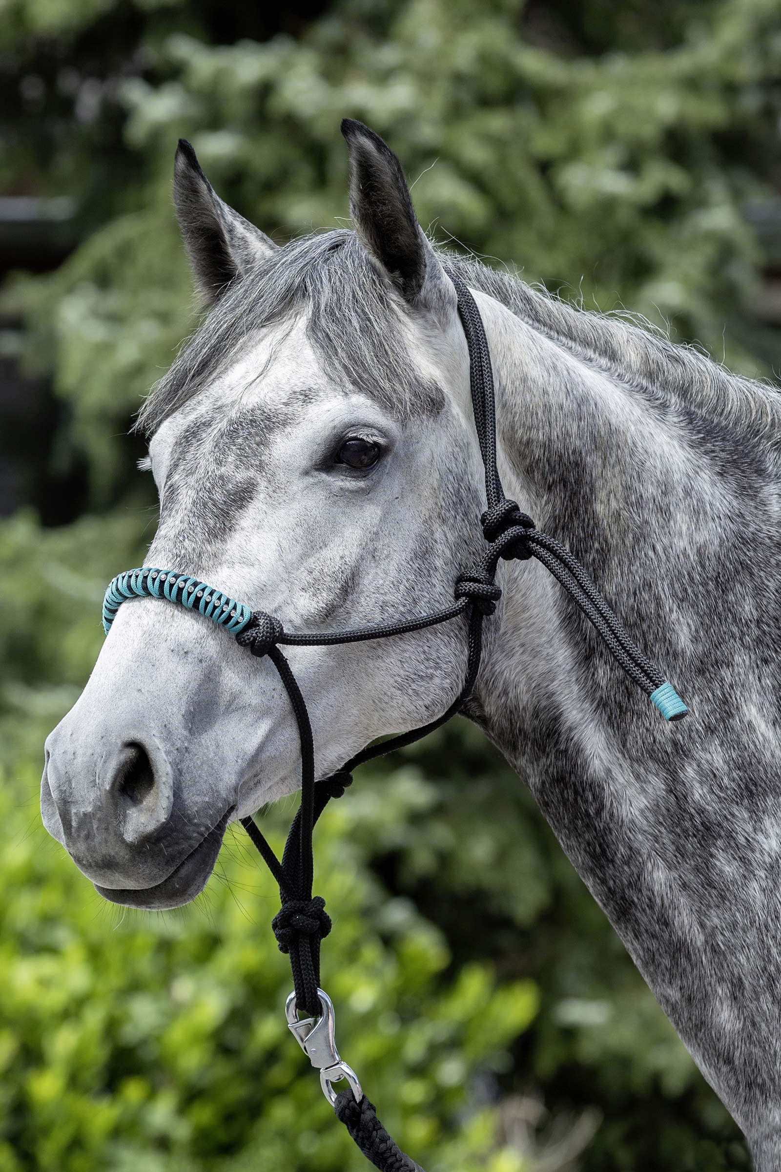 Cabezada de Cuadra de Cuerda Anudada USG