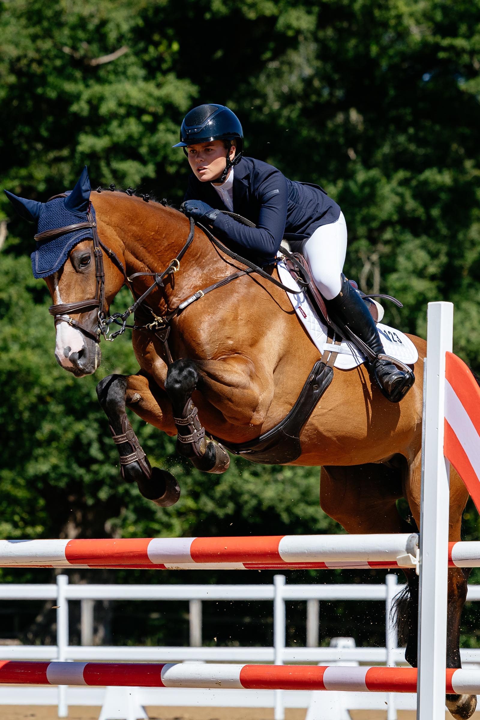 LeMieux Close Contact sudadero cuadrado de algod&oacute;n uso general