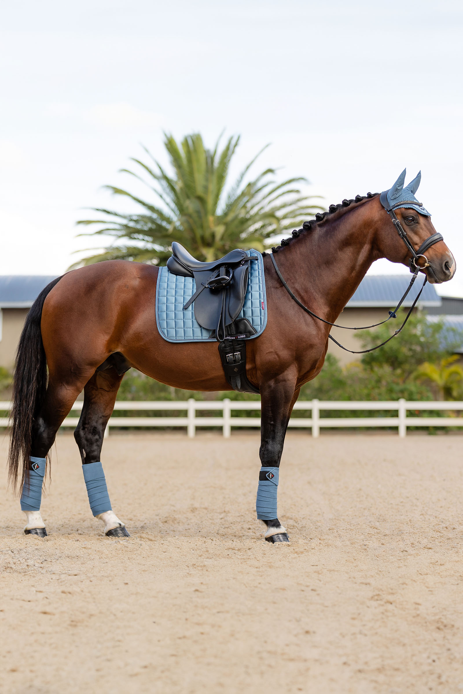 LeMieux Loire Memory Mantilla de Doma