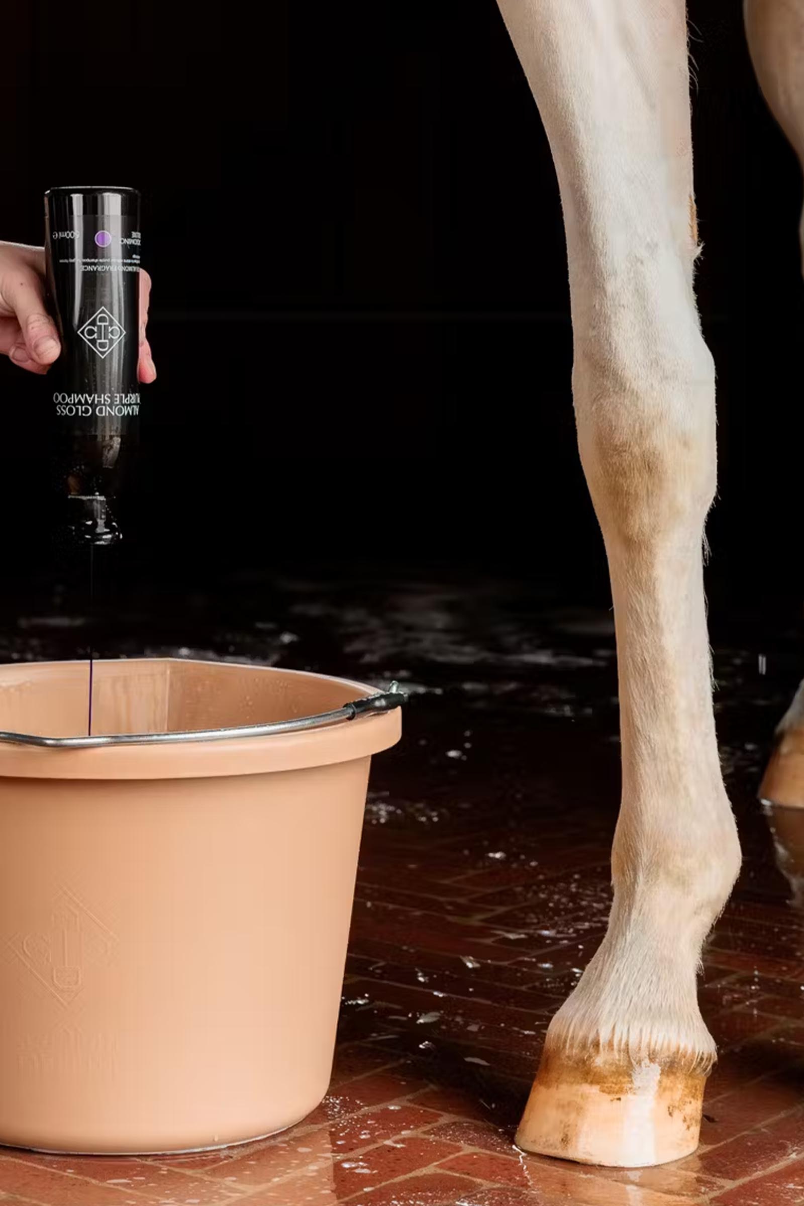 Grooming Deluxe Champ&uacute; morado brillo almendra, 500 ml