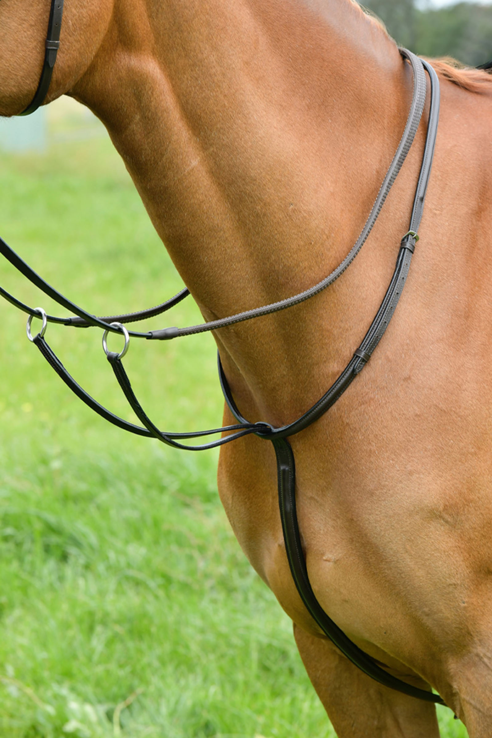 Brown Kincade martingala corrediza clásica con costura elevada