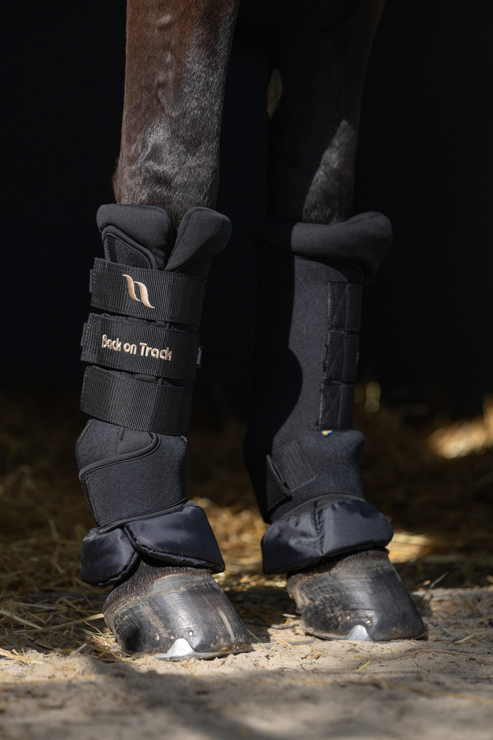 Paños rápidos Back on Track Royal