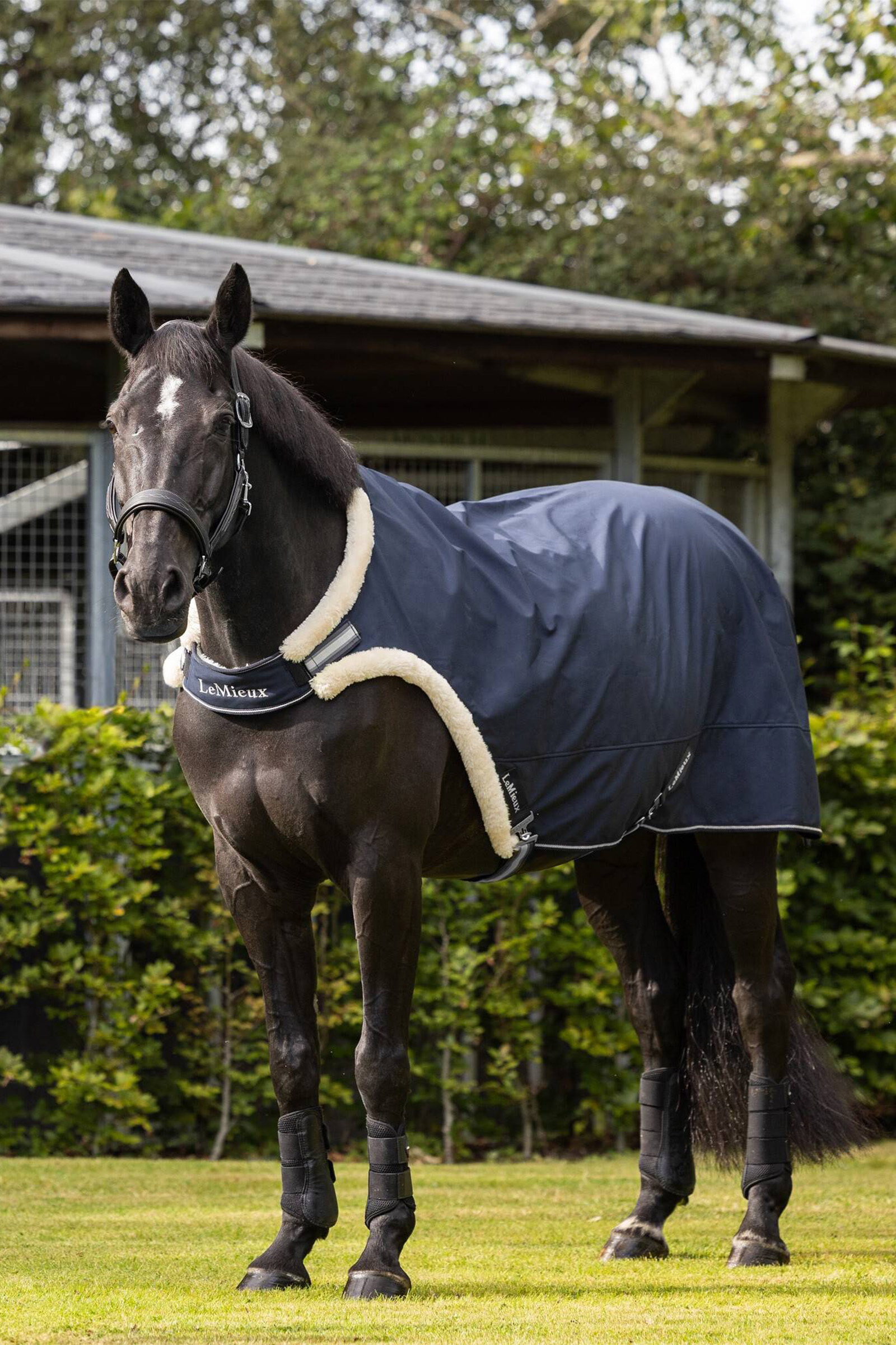 Manta de gu&iacute;a LeMieux