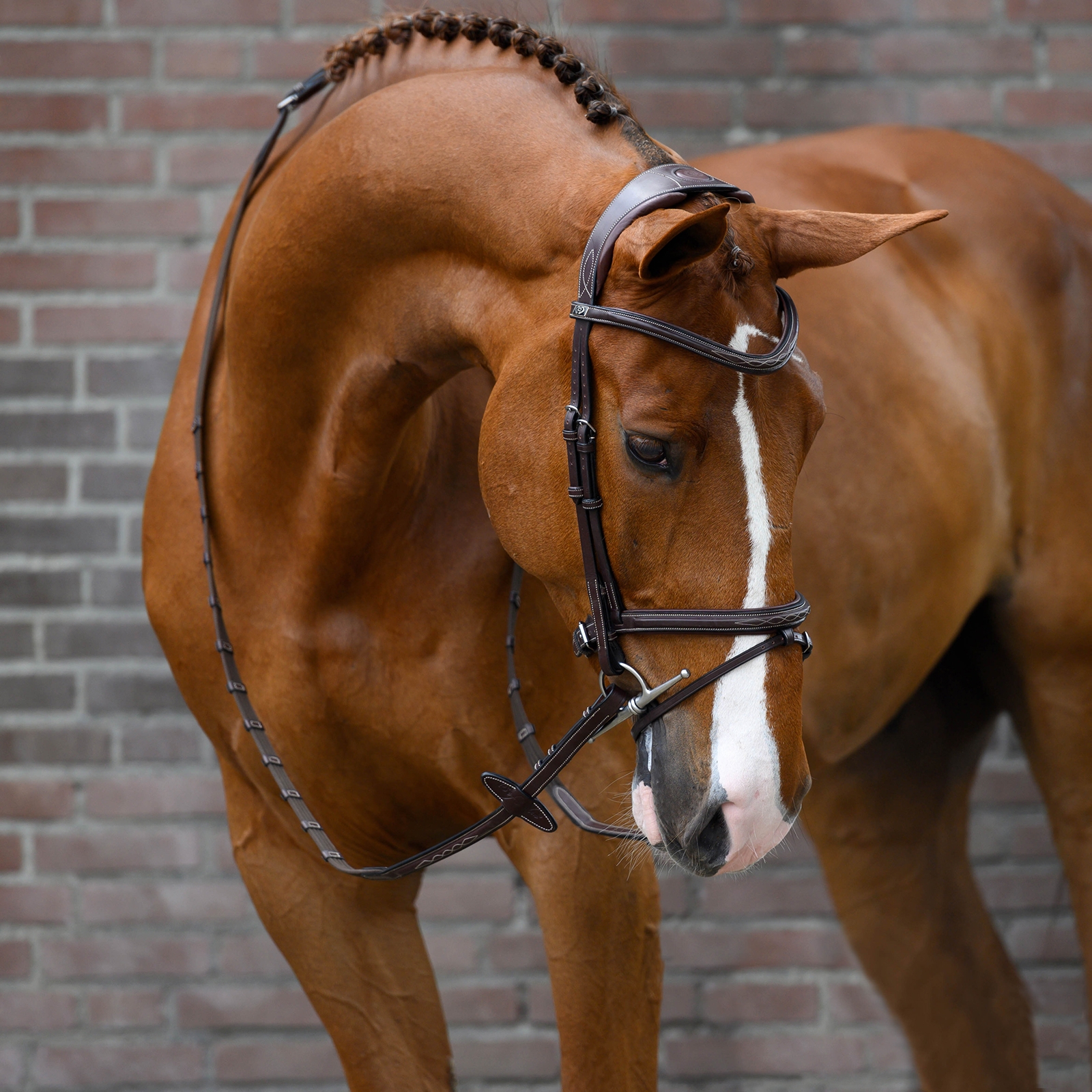 PS of Sweden Stockholm cabezada