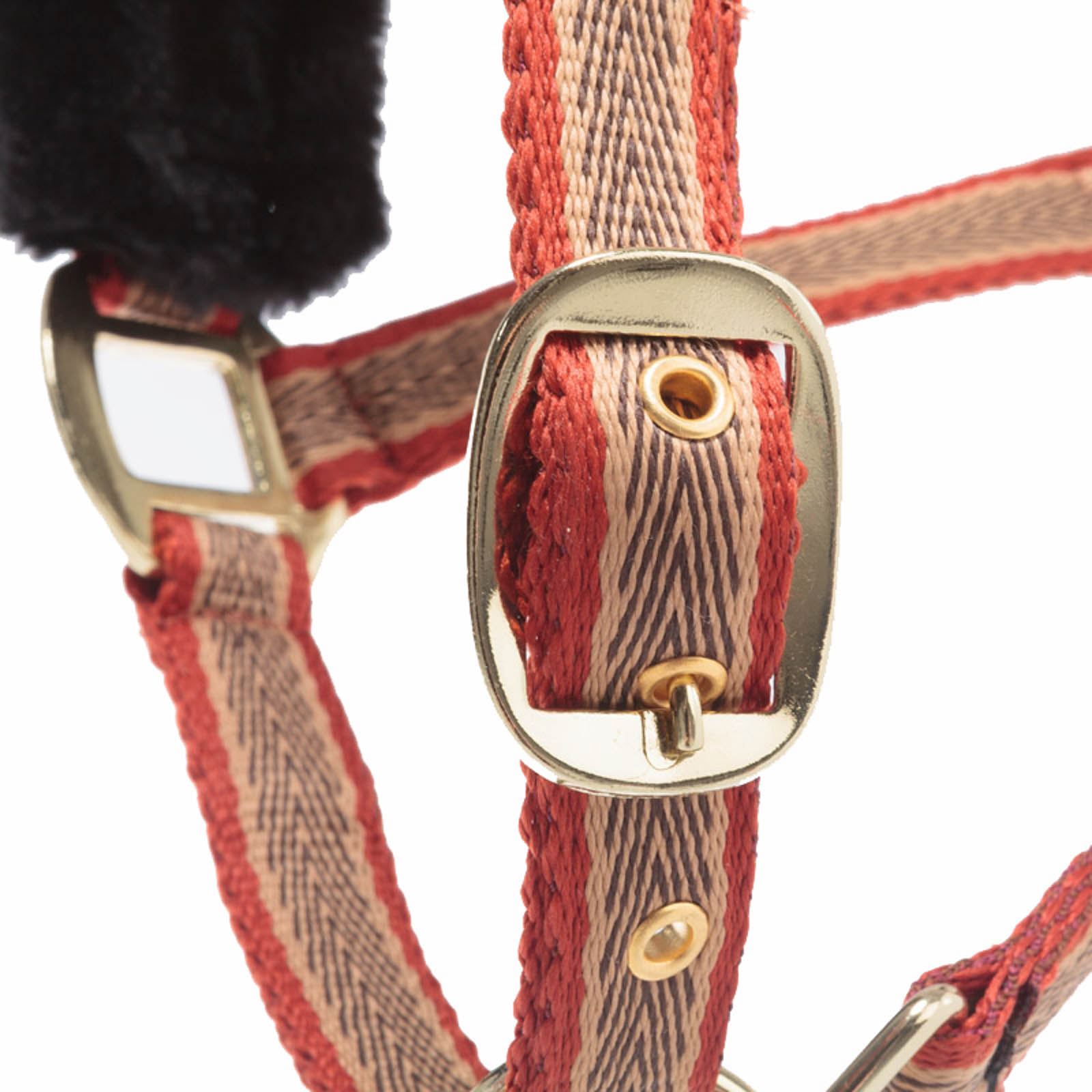 Halter Kavalkade Gretchen