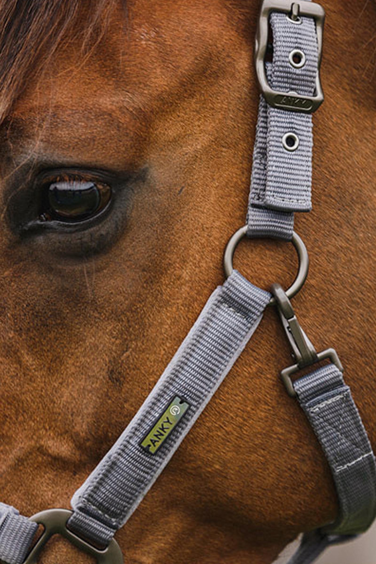 ANKY Cabezada Stones con Ramal