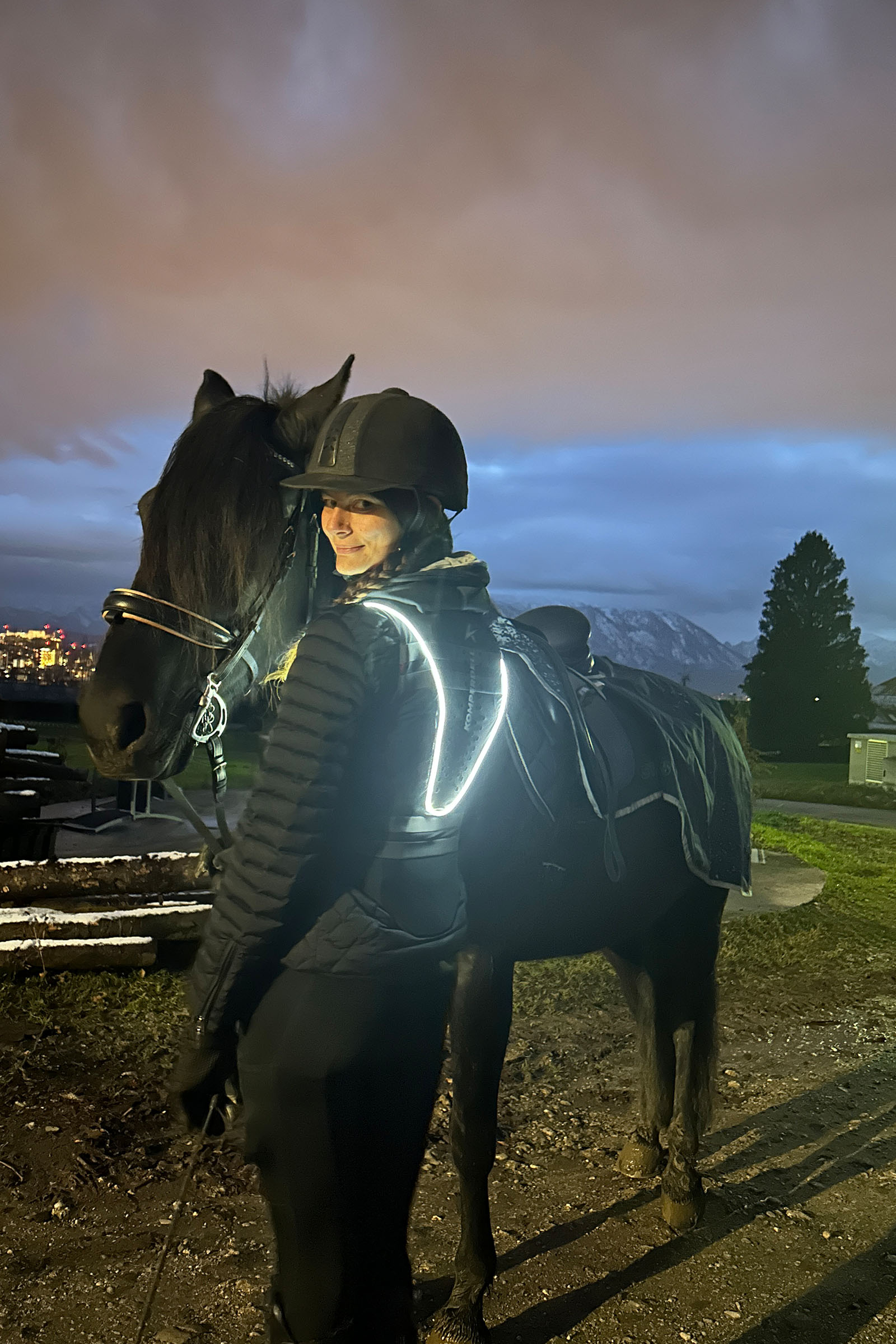 Komperdell Ballistic High Visibility FlexFit protector de espalda, reversible