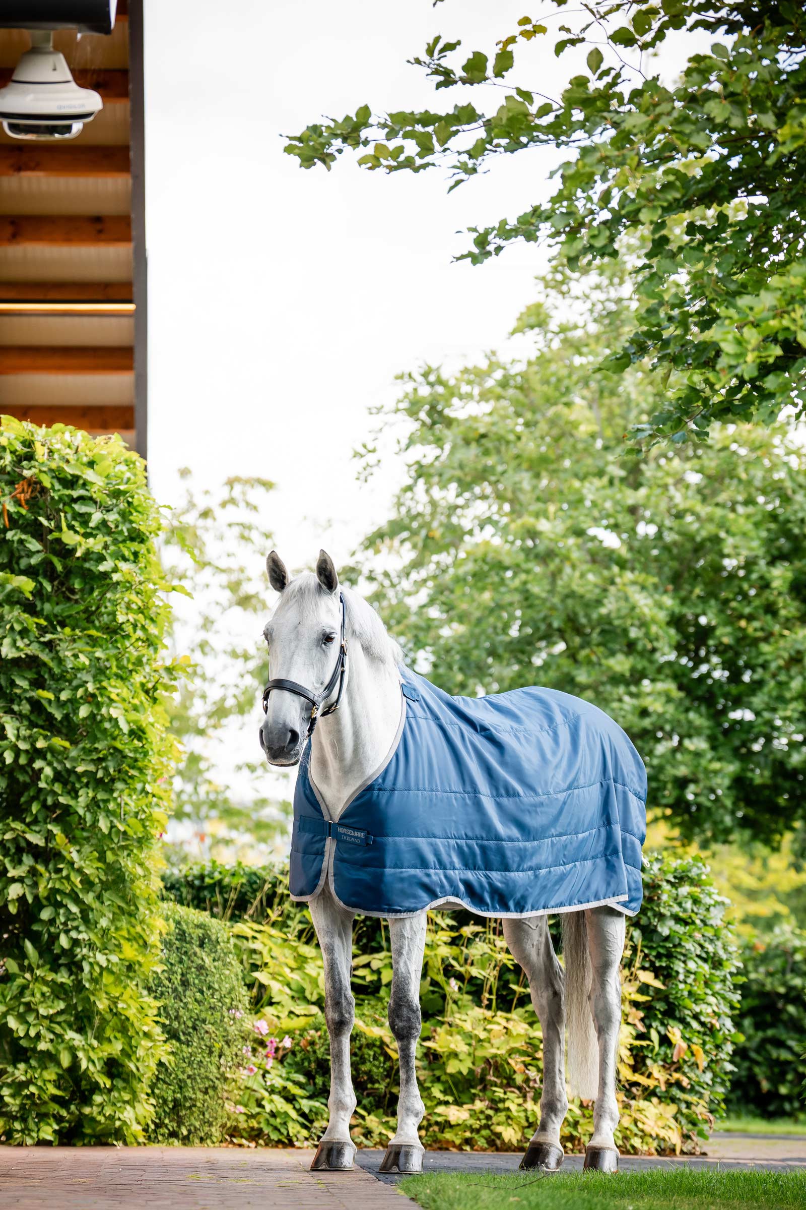 Horseware Ionic Therapy Revestimiento 50g