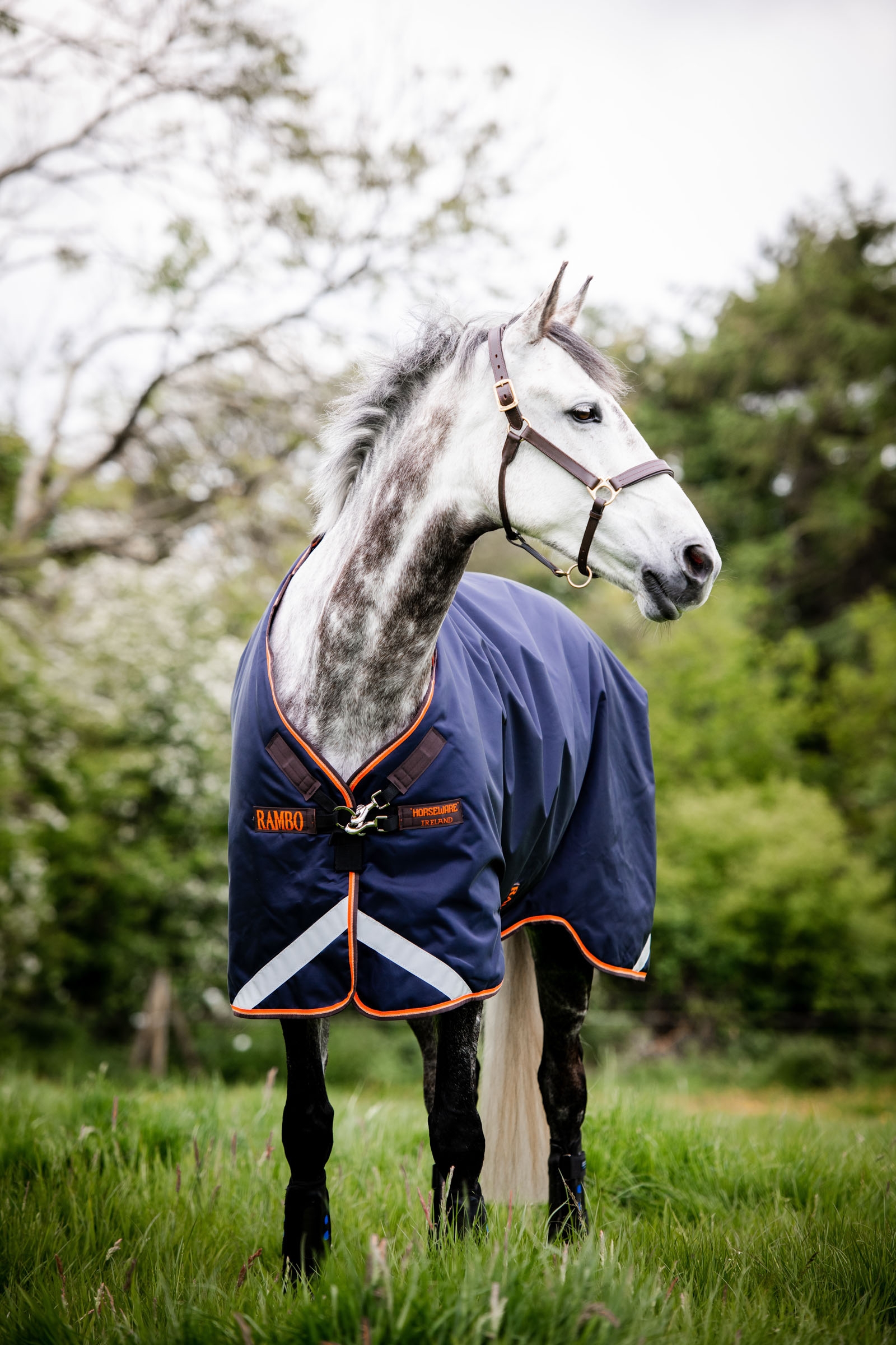 Horseware Rambo Original Turnout con arcos de piernas, 100 g