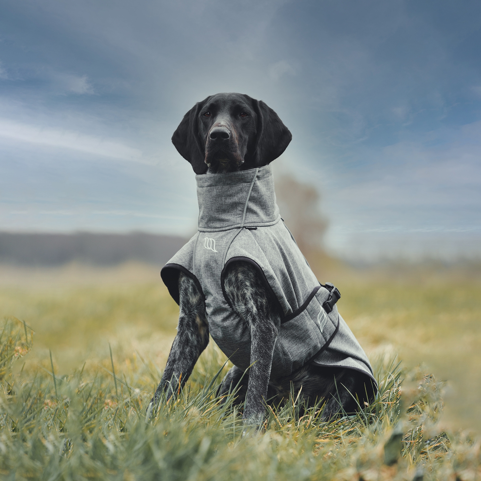 Abrigo para Perro Uso General Back on Track Nella, 40-50cm