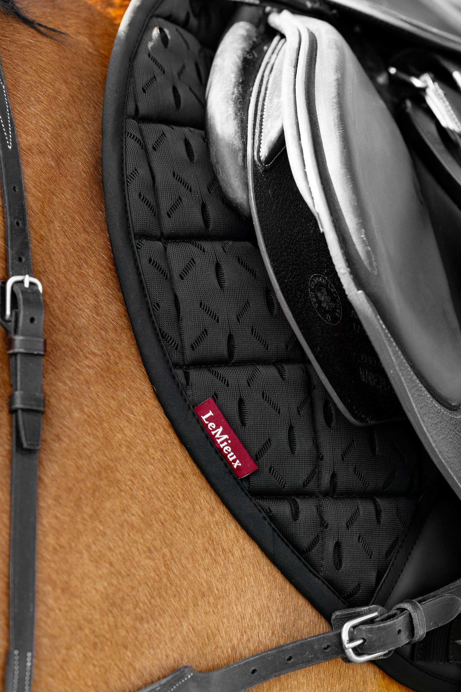 LeMieux 3D Mesh Self-Cool Eurojump Mantilla de Salto