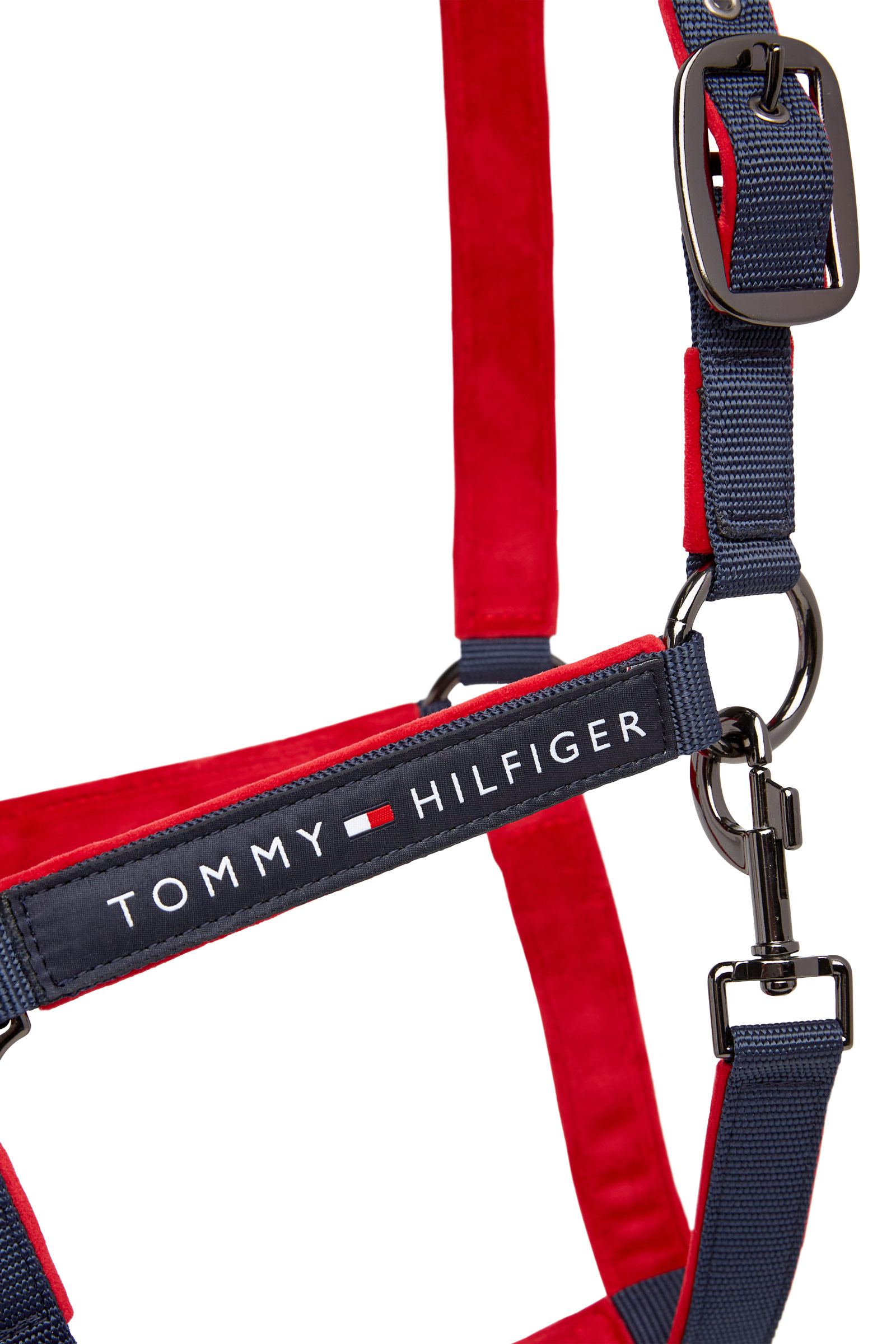 Tommy Hilfiger Equestrian GLOBAL Cabezada de Cuadra