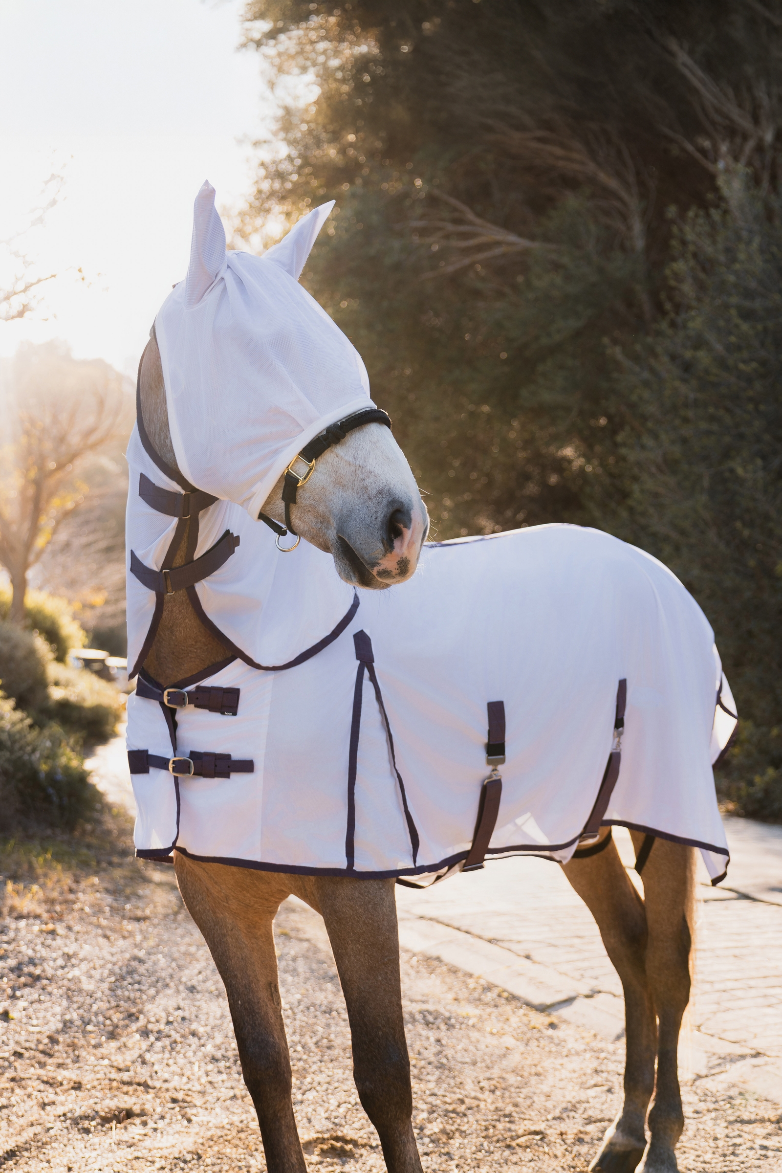 Horze La Paz Conjunto Anti-Moscas con Manta, Cubre Cuello Desmontable Y M&aacute;scara 