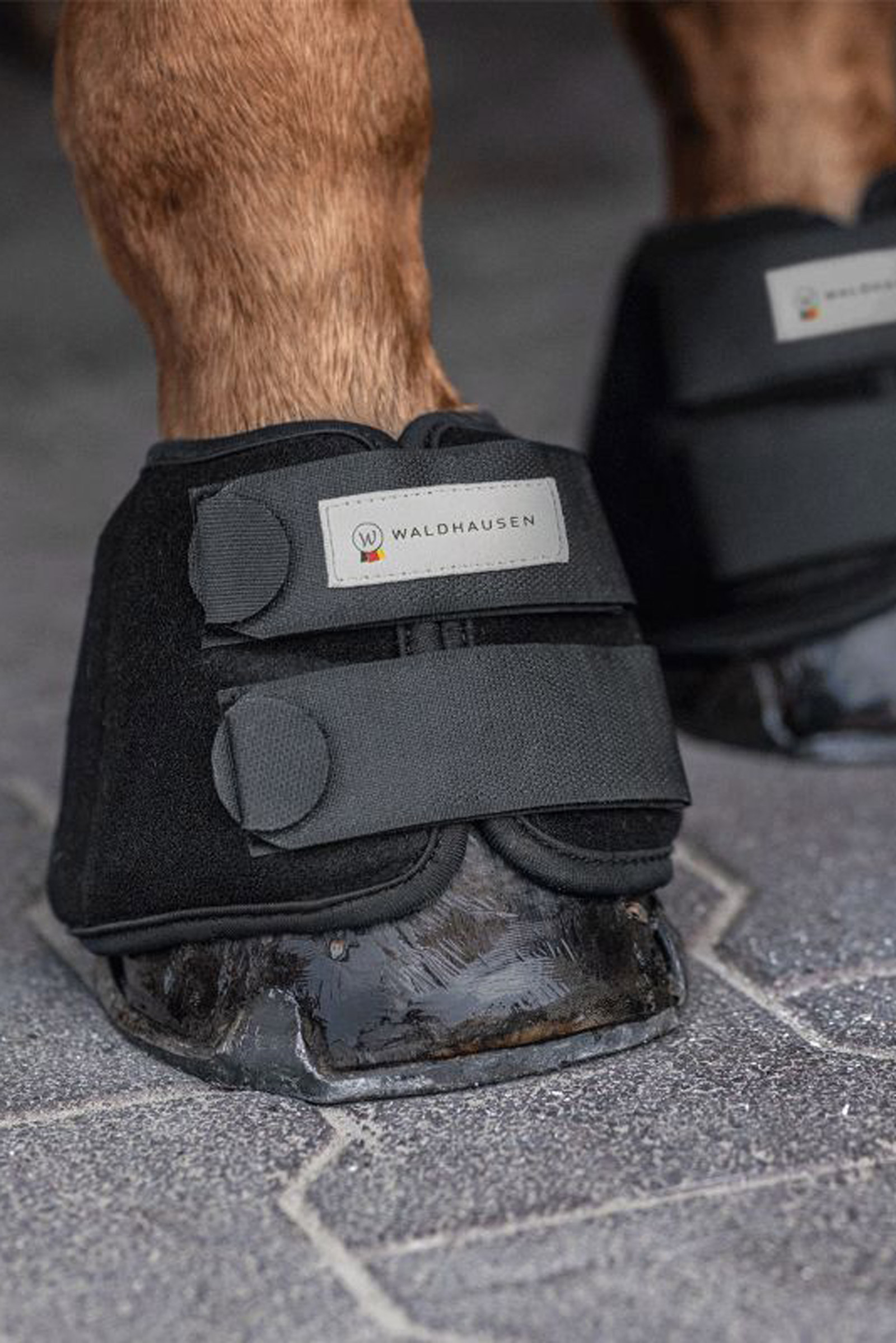 Waldhausen campanas refrescantes, set de un par