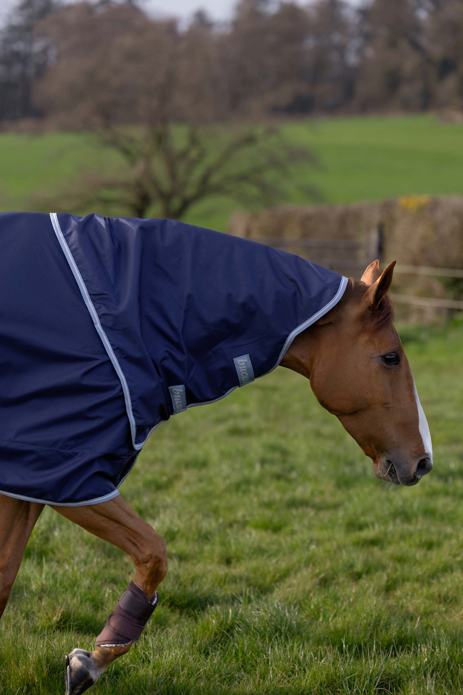 Bucas Atlantic Exclusive Rug & Neck, 150 g