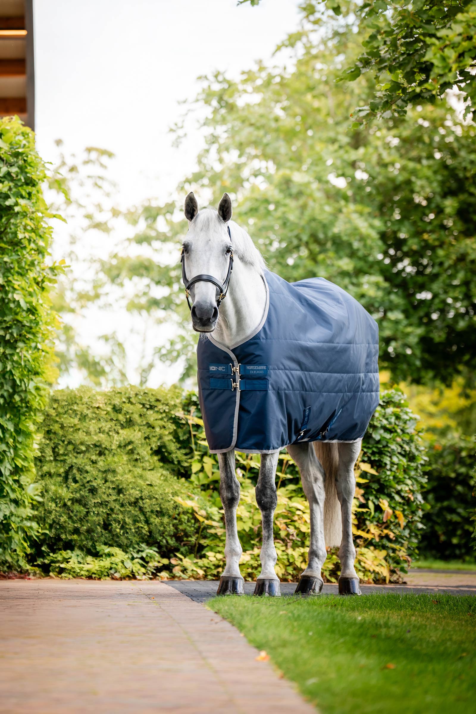 Horseware Ionic Therapy Manta de Cuadra, 50g