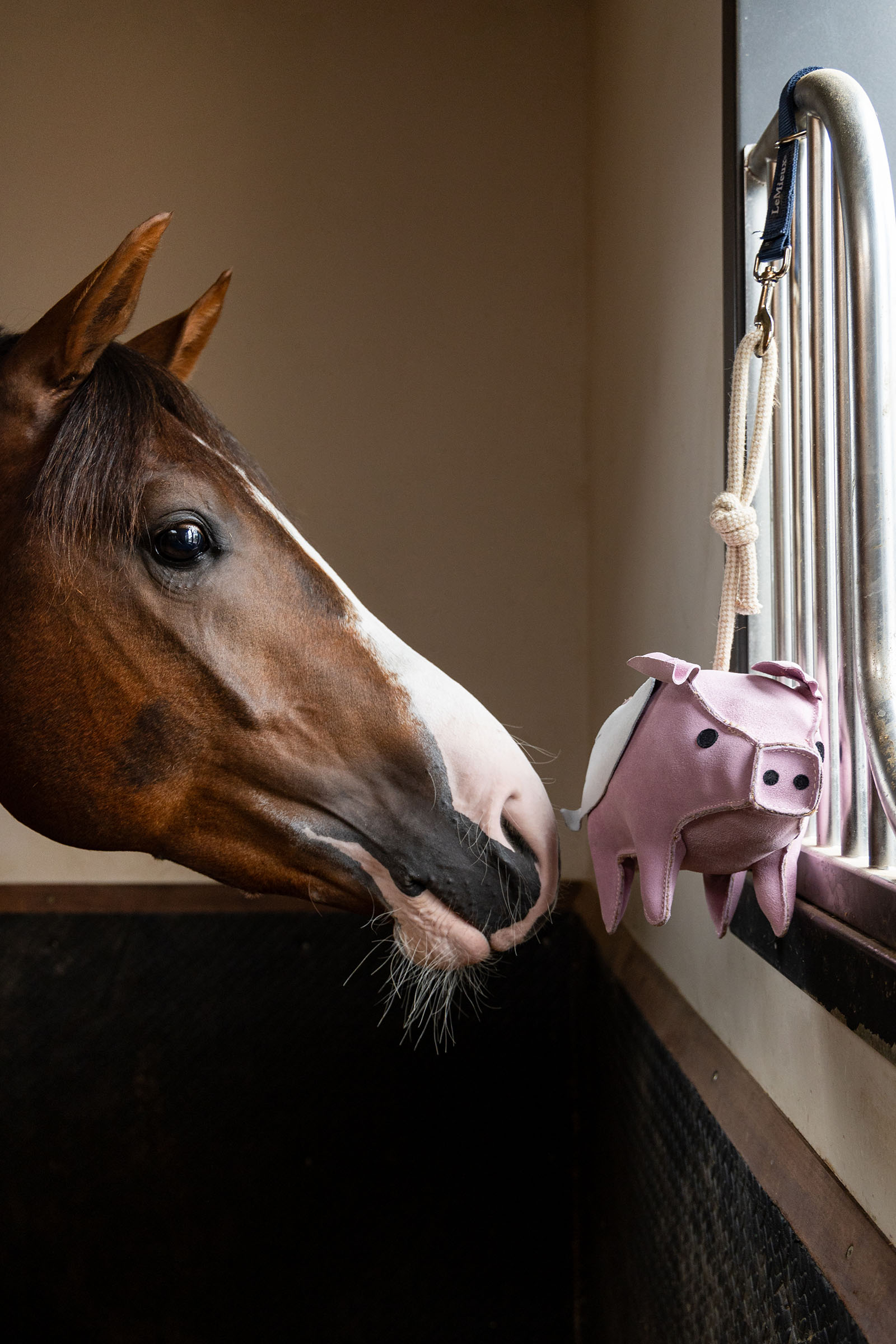 LeMieux juguete para caballos cerdito volador