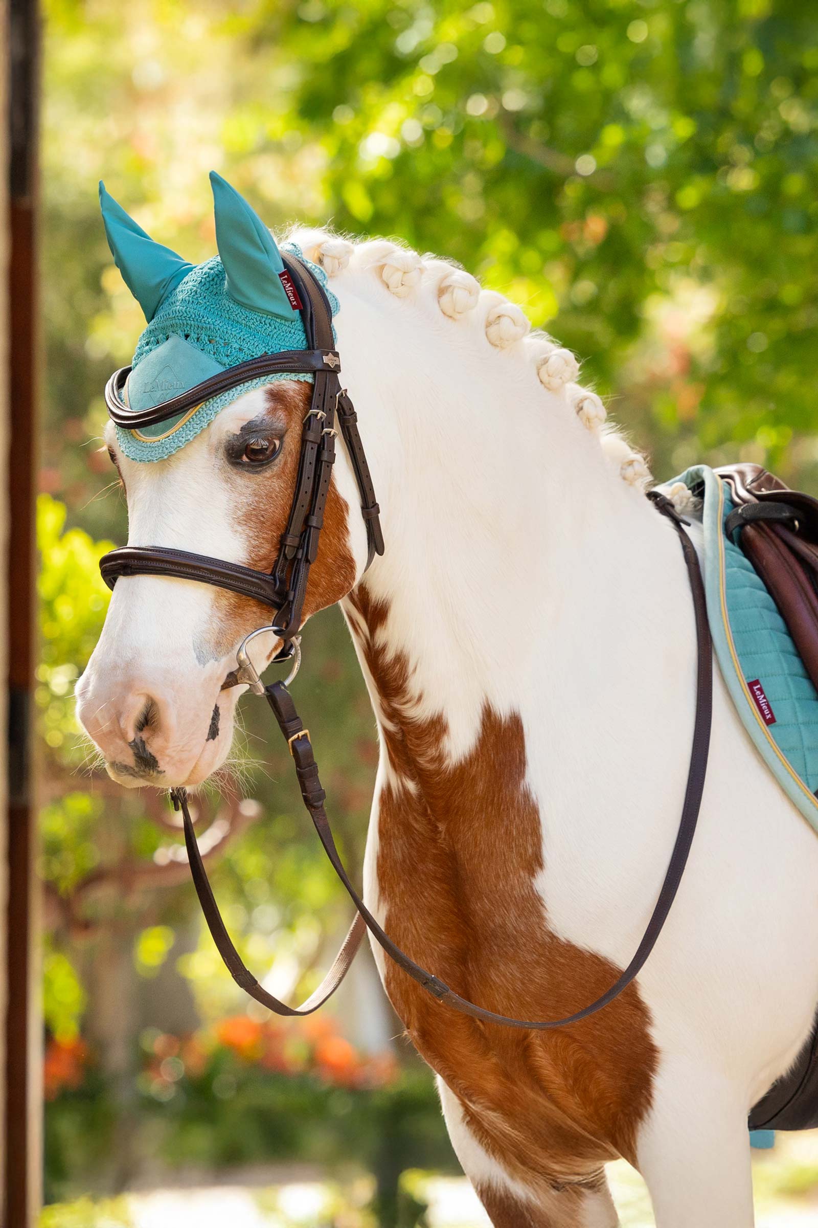 LeMieux Classic Orejeras