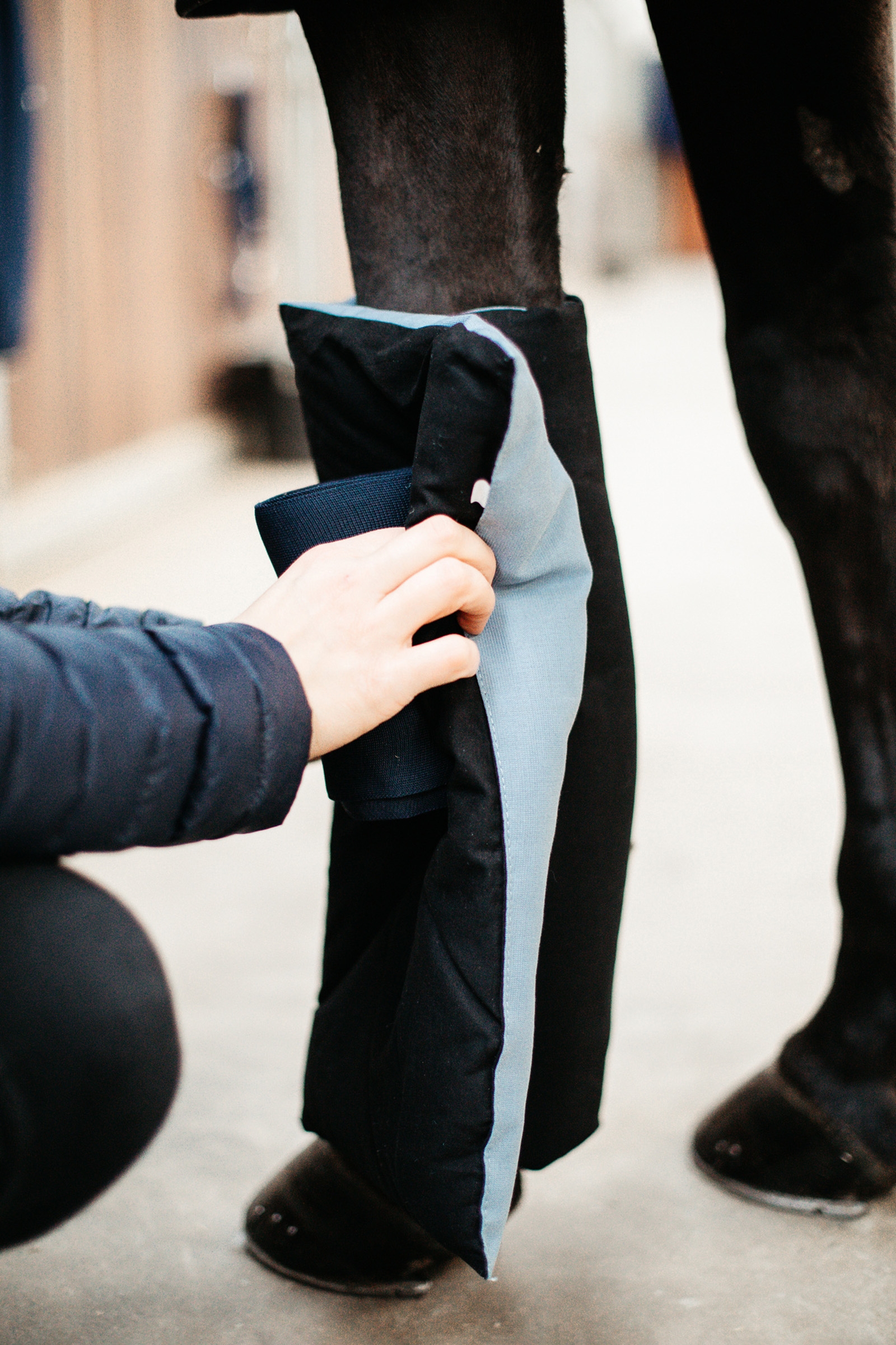 Recuptex/Texishield - Paños de venda Kentucky Horsewear