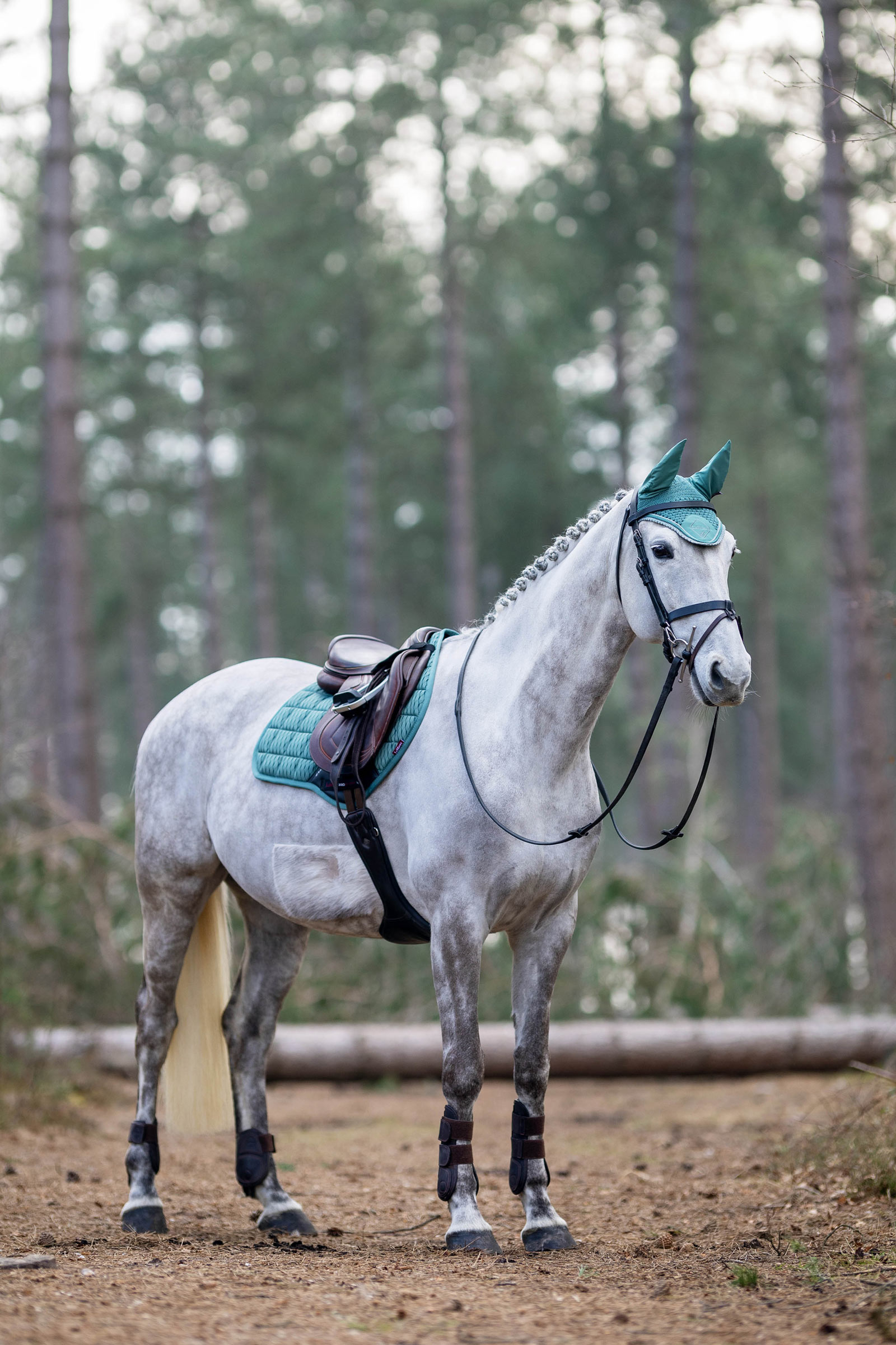 LeMieux Classic Orejeras