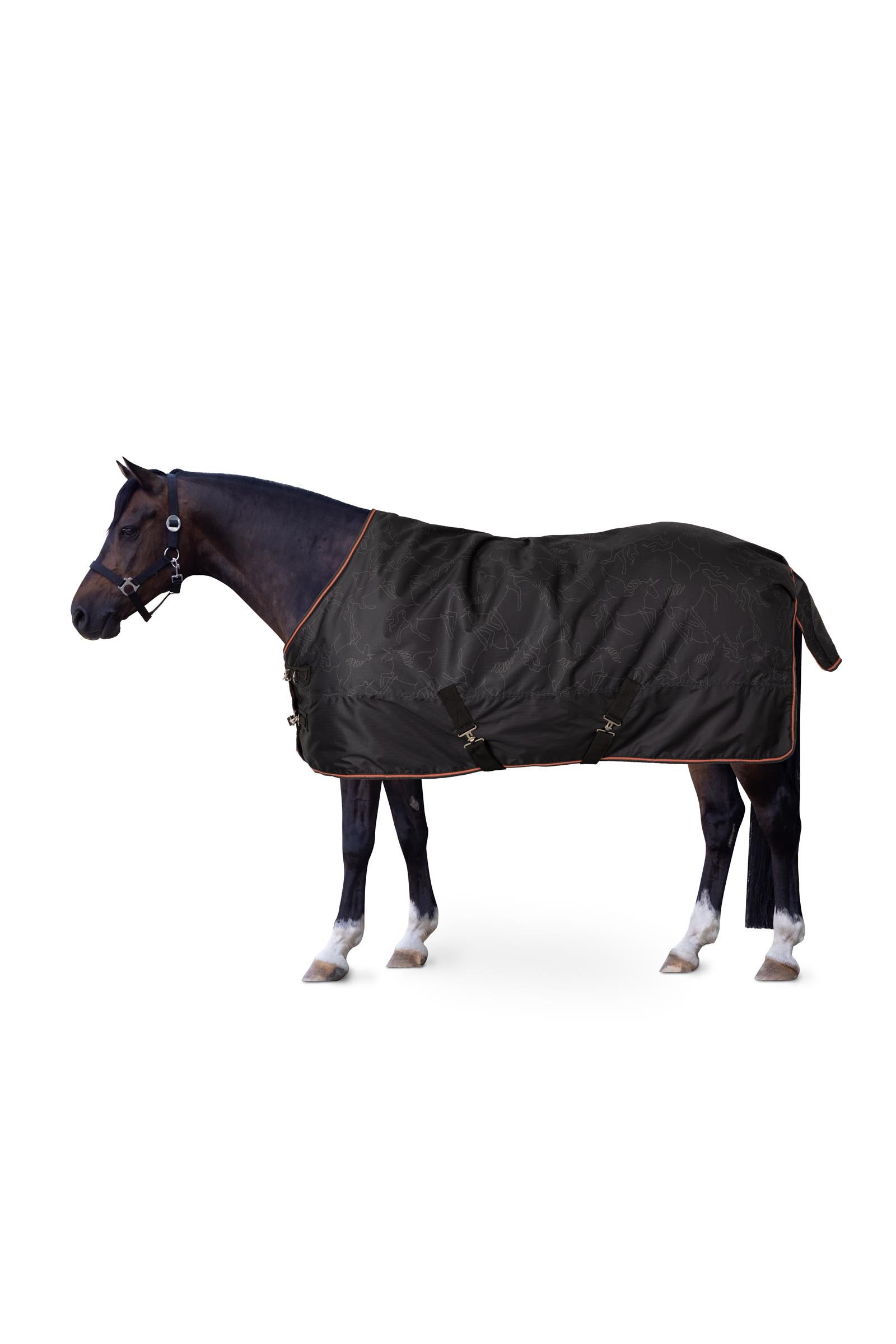 Manta impermeable para poni Horze Pegasus 200 g/m²