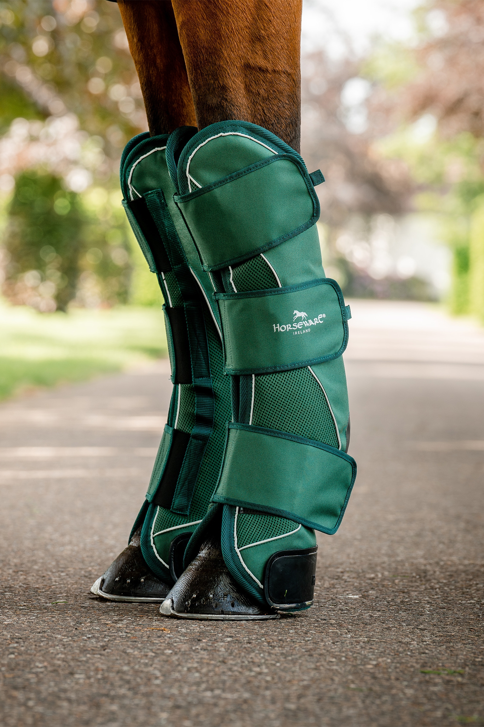 Hunter Green Horseware Signature Campanas de Transporte