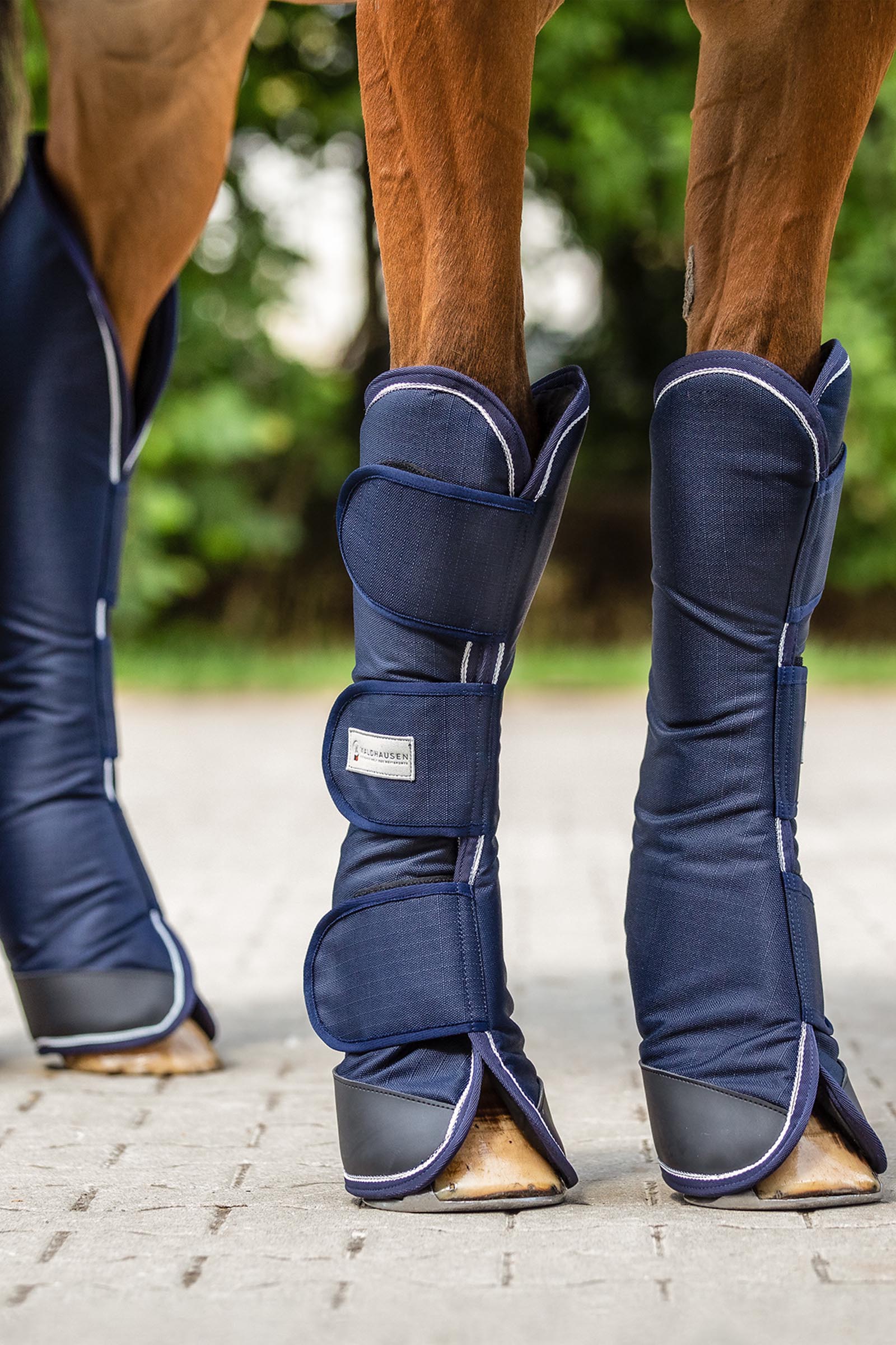 Waldhausen Comfort Line protectores de transporte (juego de 4)