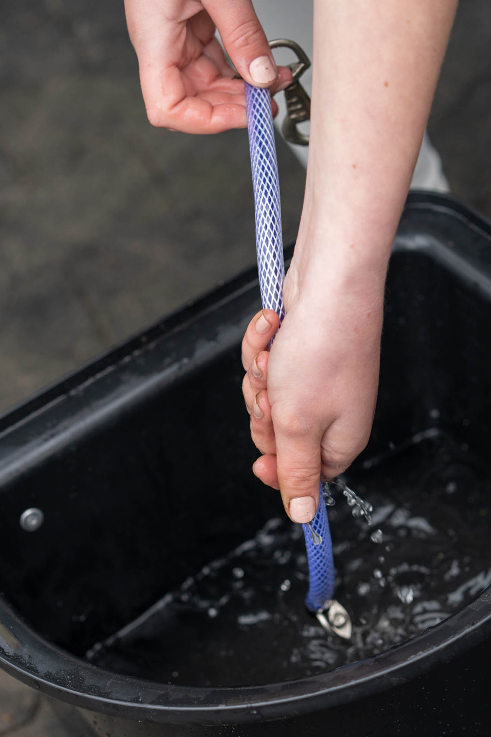 Cordón trasero de fácil limpieza Back on Track