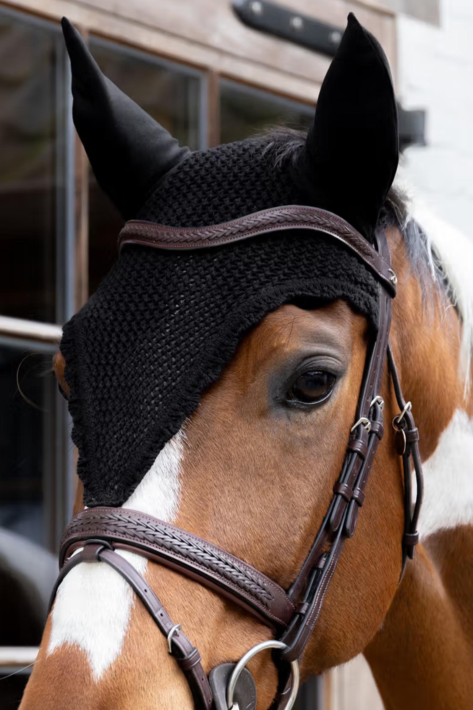 Kentucky orejeras antimoscas largas  